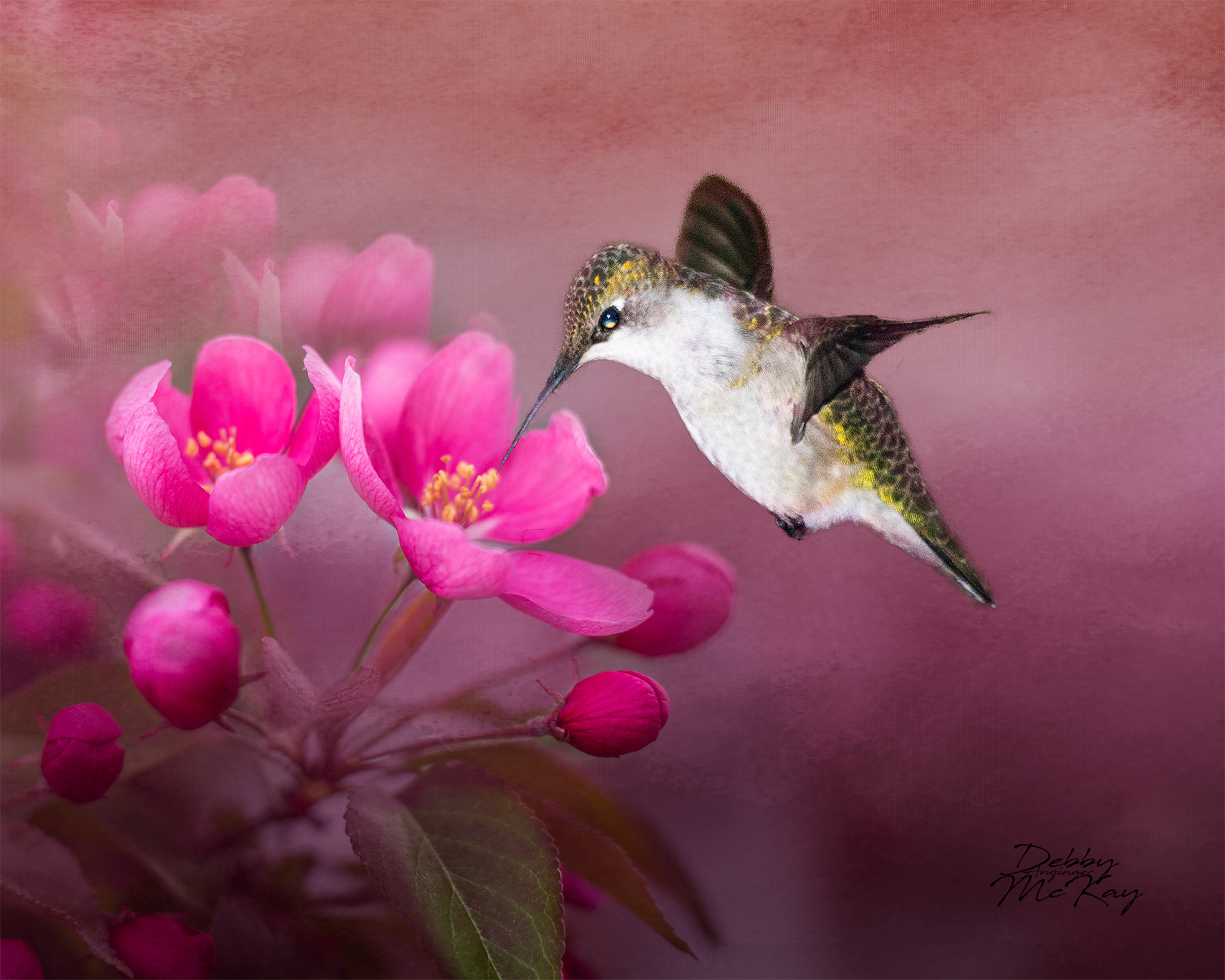 Ruby Throated Hummingbird