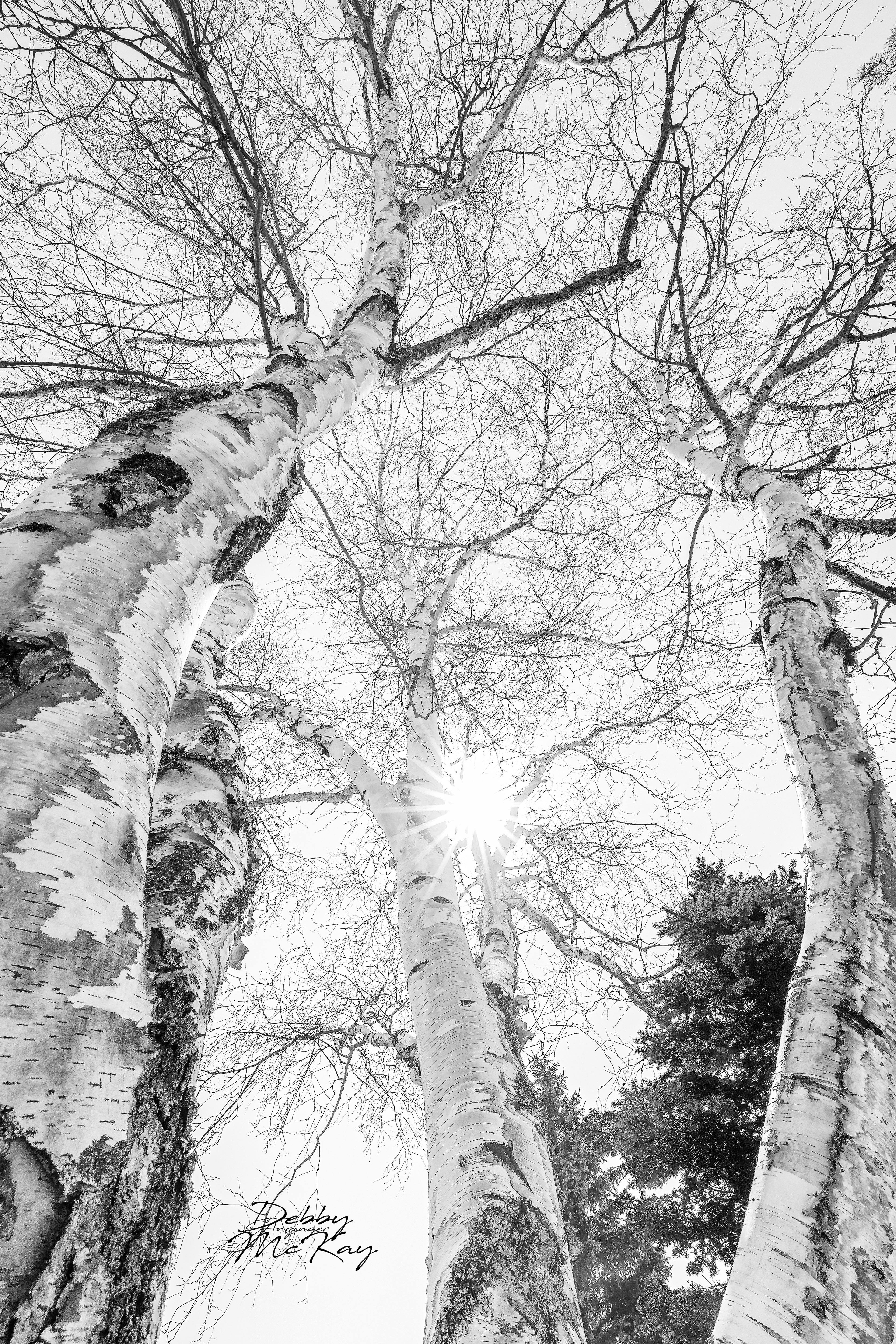 Reaching for the top