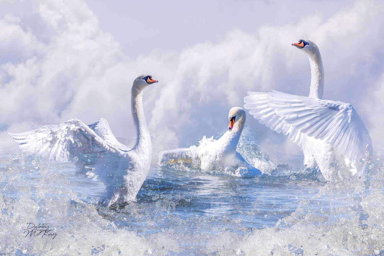 Turbulent Waters