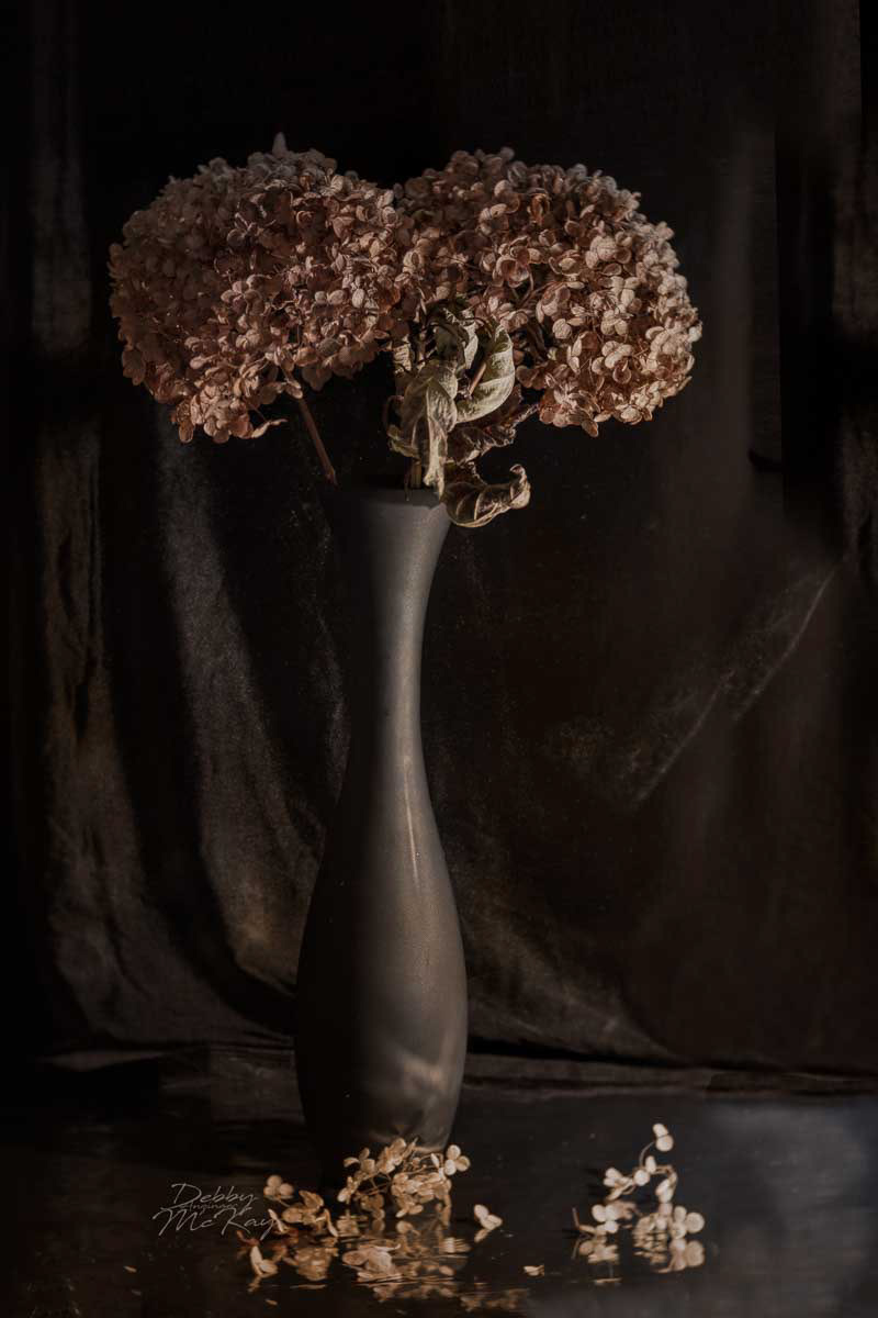 Hydrangea