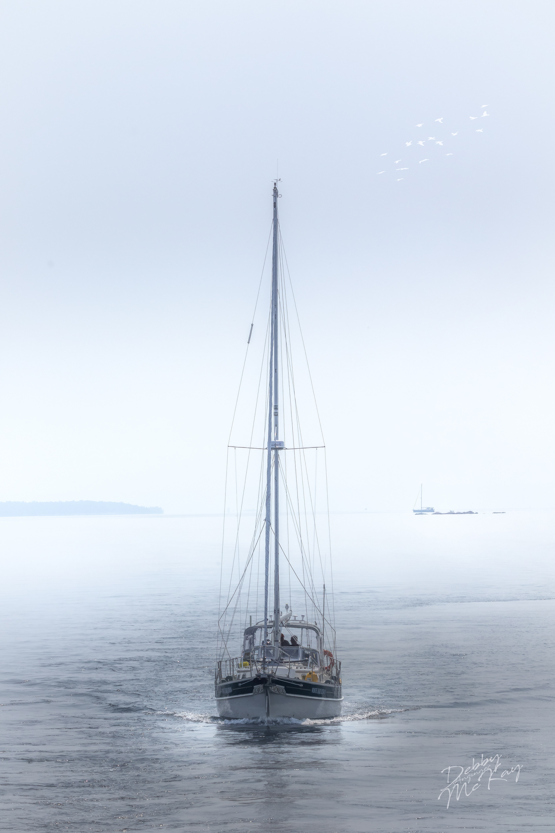Into the Mist