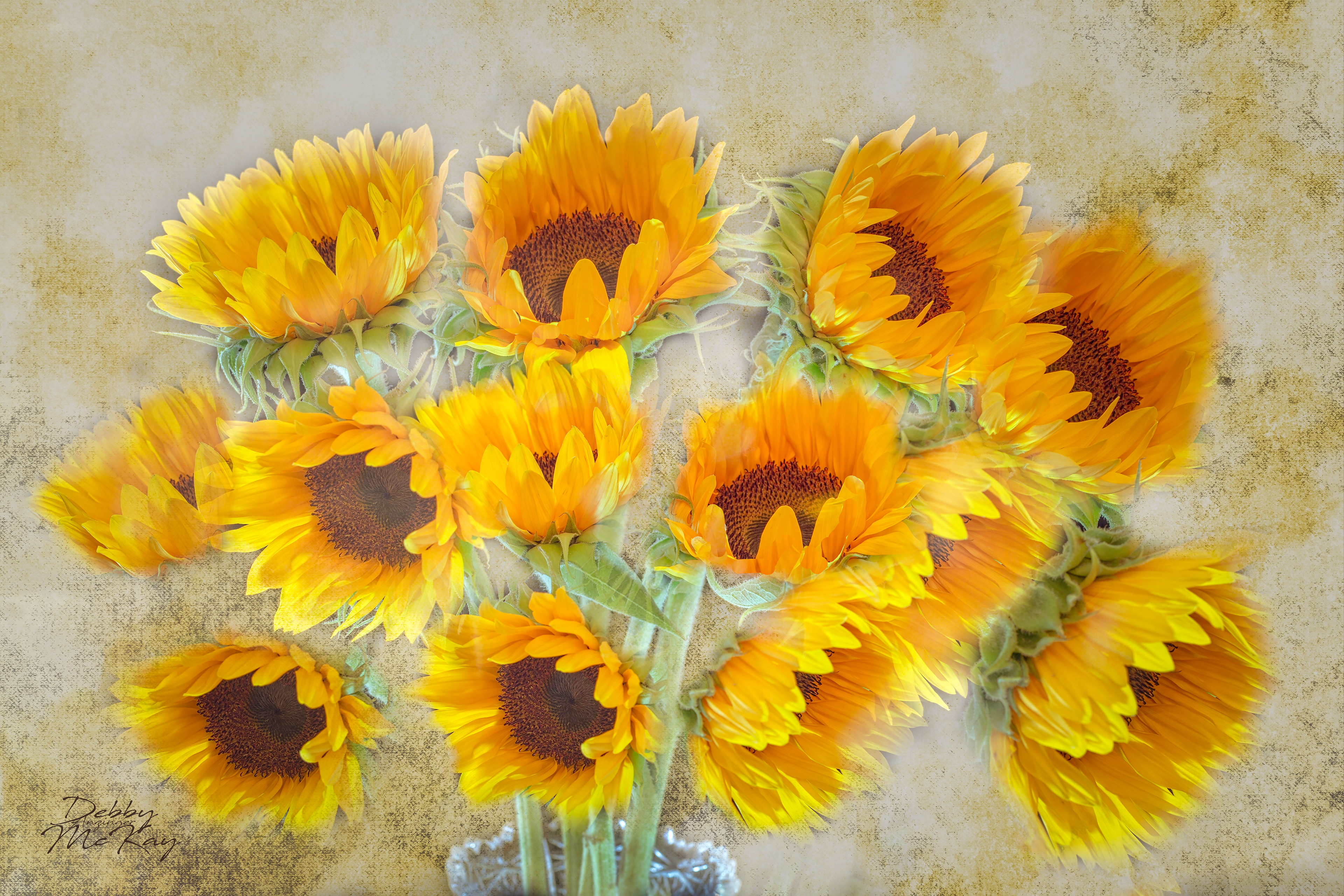 Sunflower Boquet
