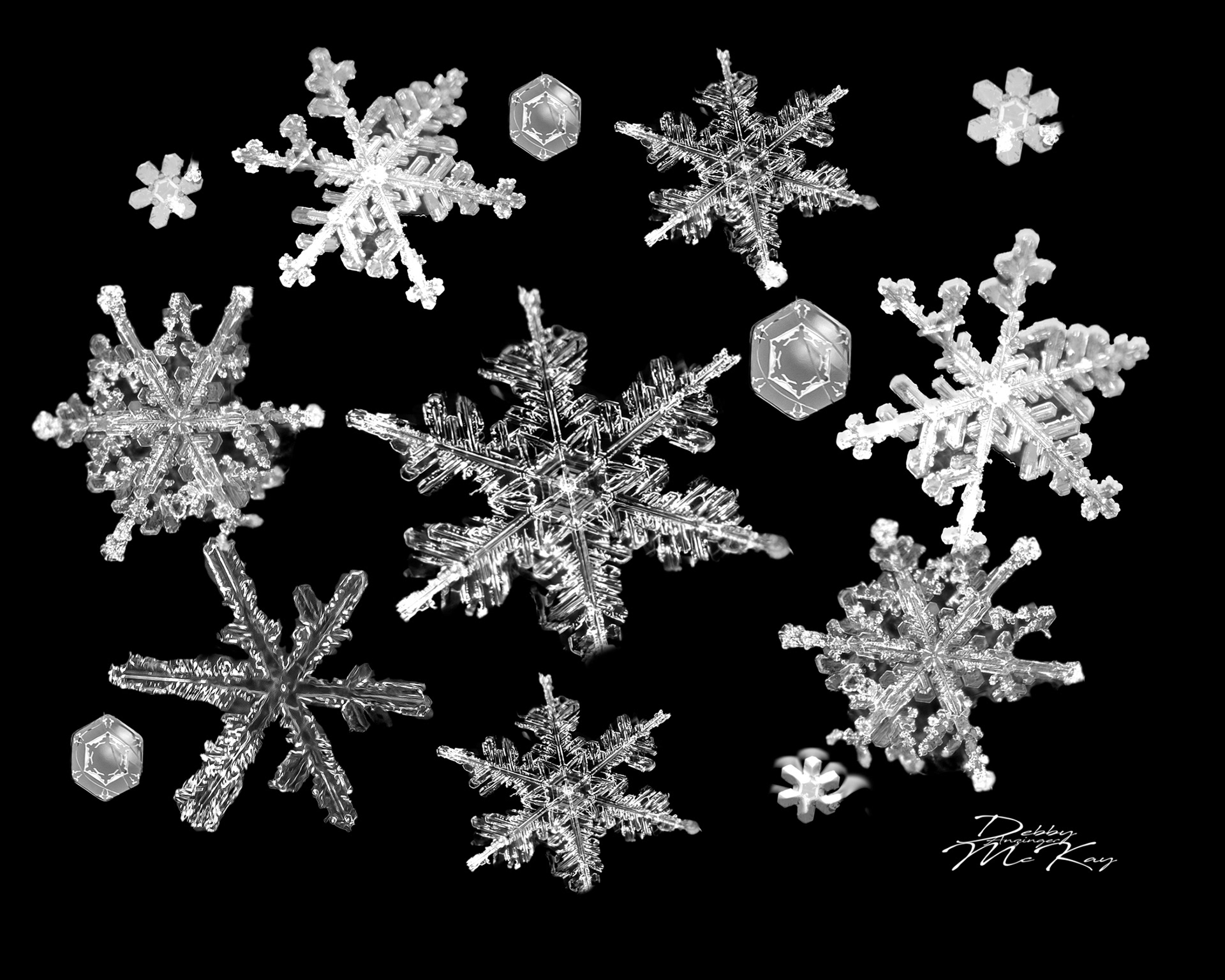 Snowflake Collage