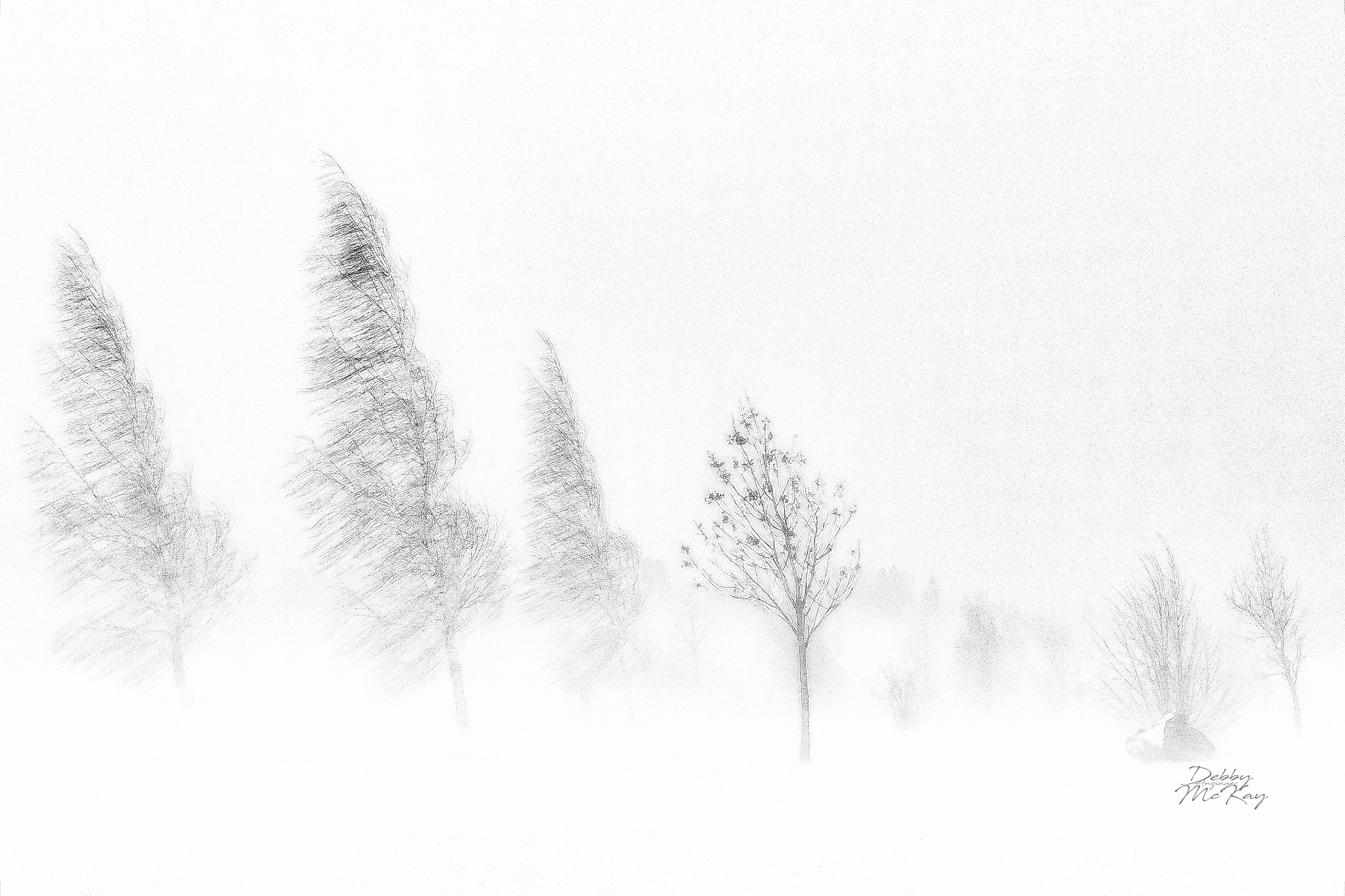 The First Storm