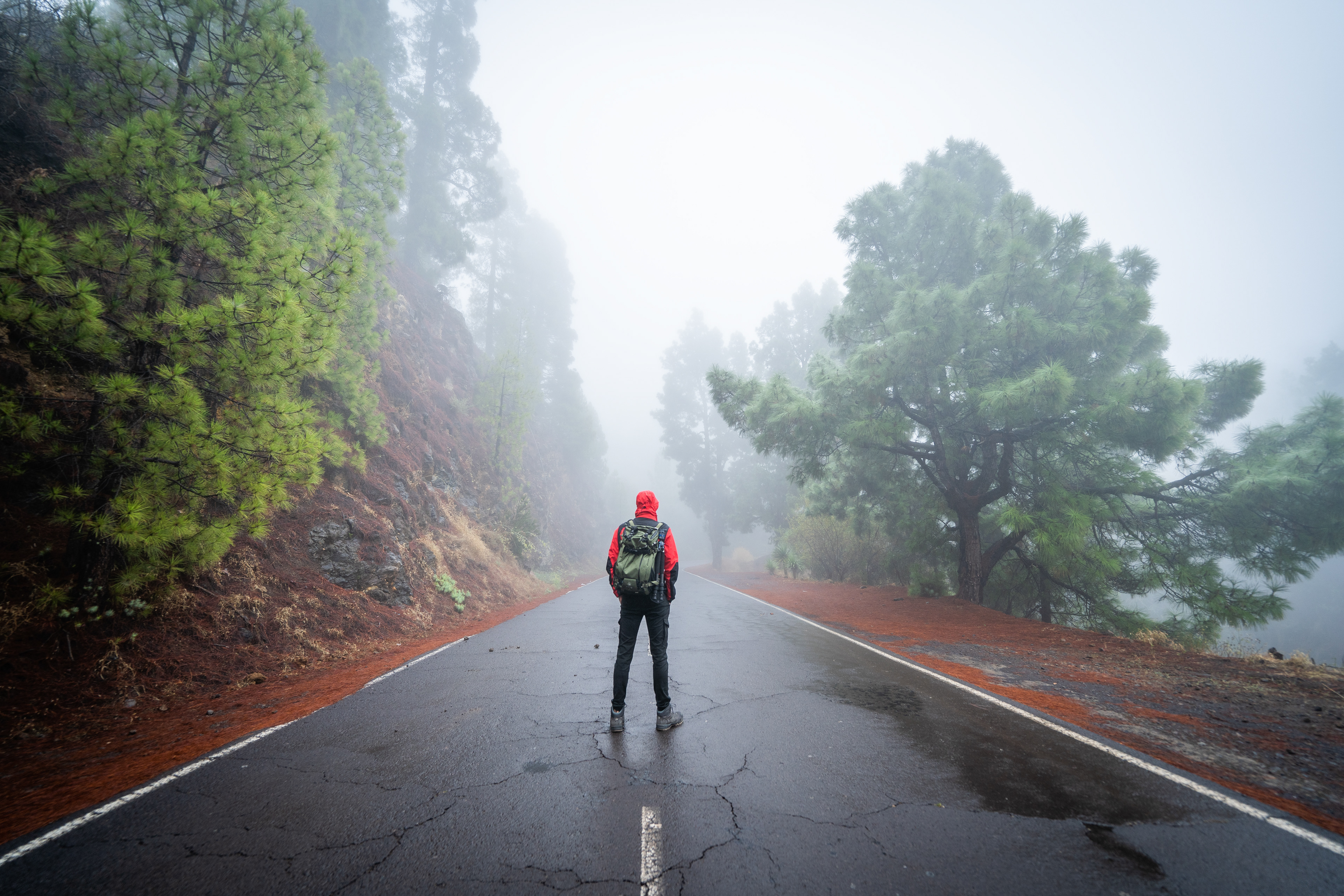 Die Landschaft ist bei Nebel auch ganz sehenswert.