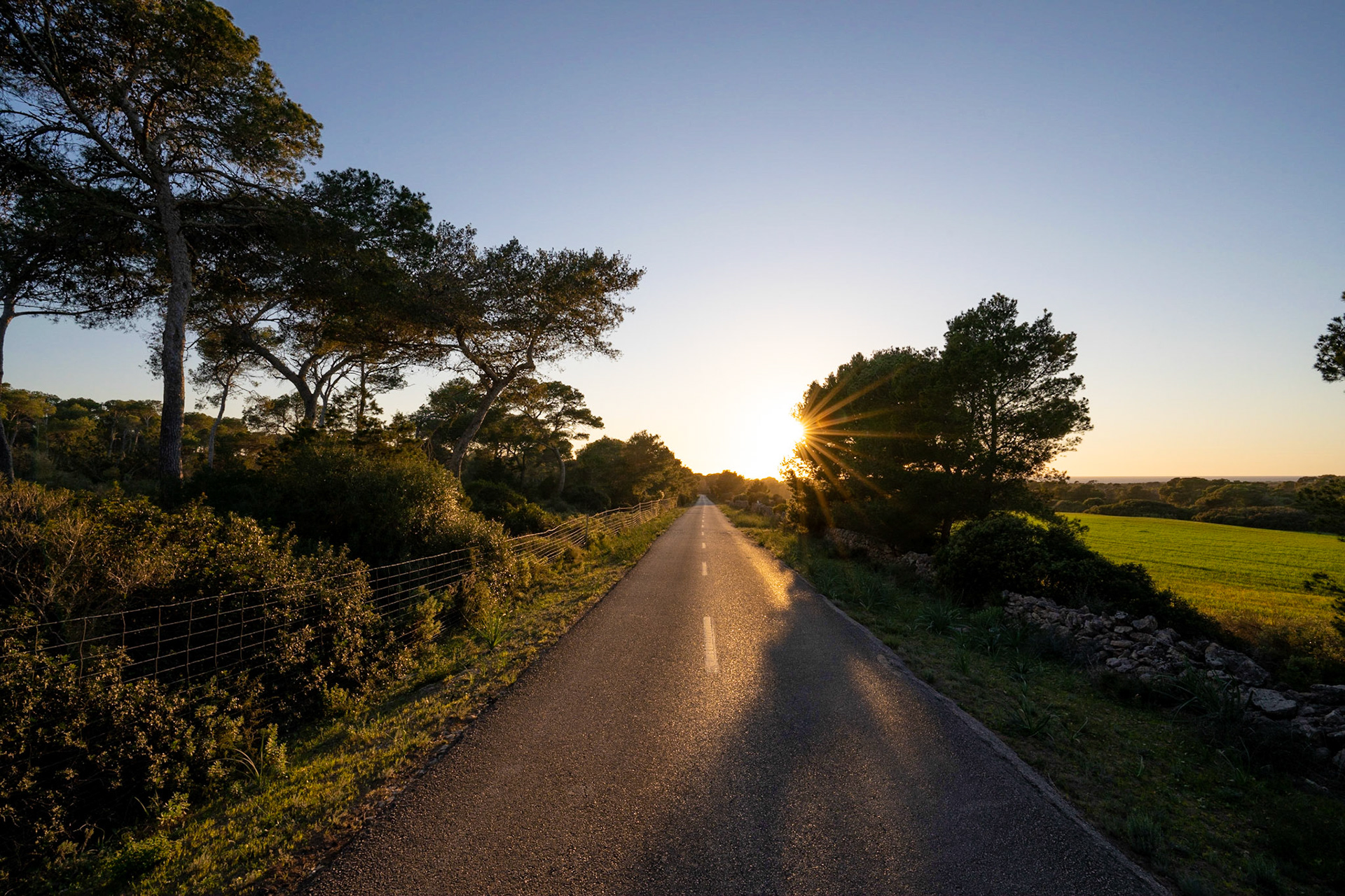 Mallorca - Straße nach Cap de Ses Salines