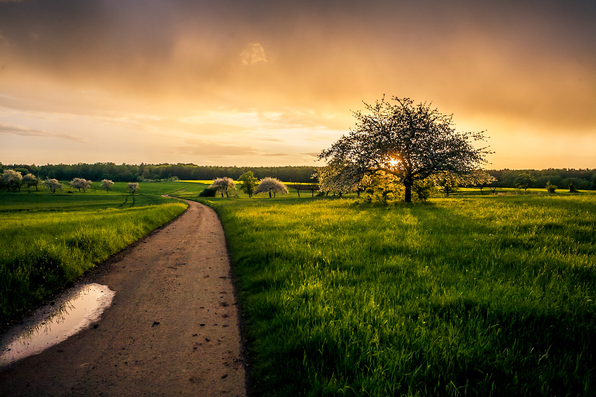 Hungen - Sonnenuntergang im Frühling