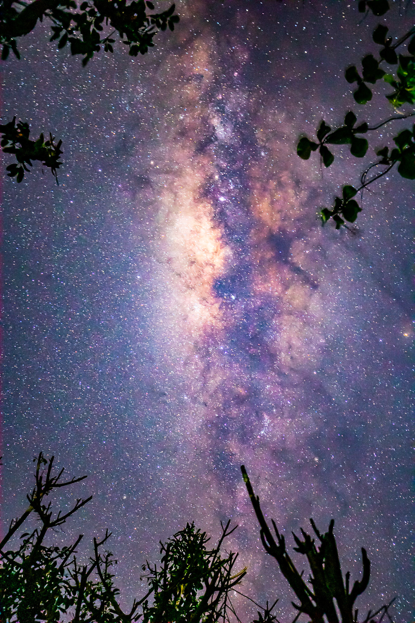 Blick auf die Milchstraße