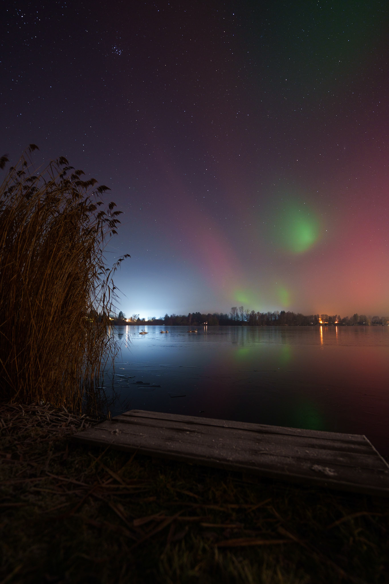Polarlichter im Januar 2026