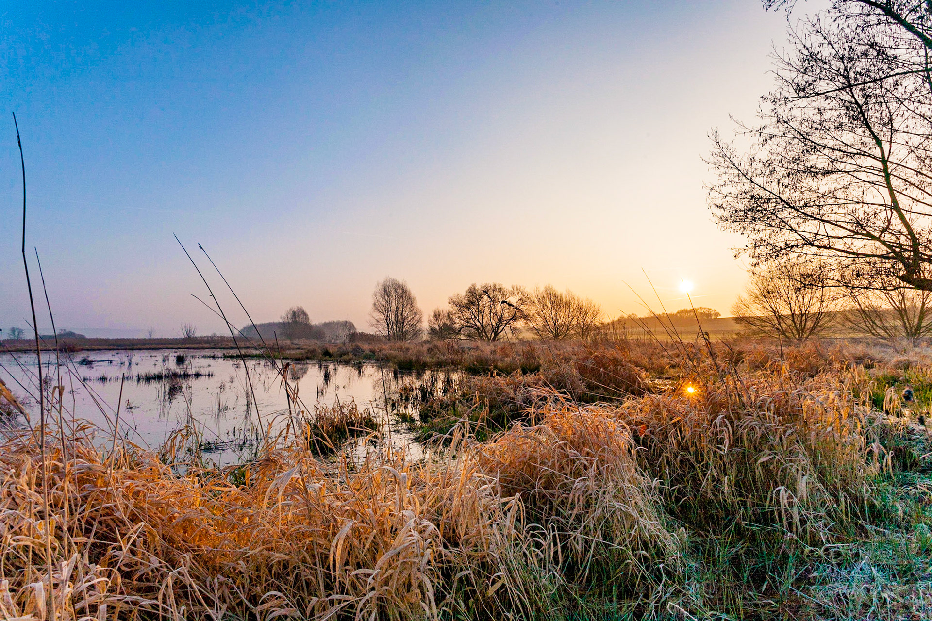 Hungen - Sonnenaufgang in einem Naturschutzgebiet