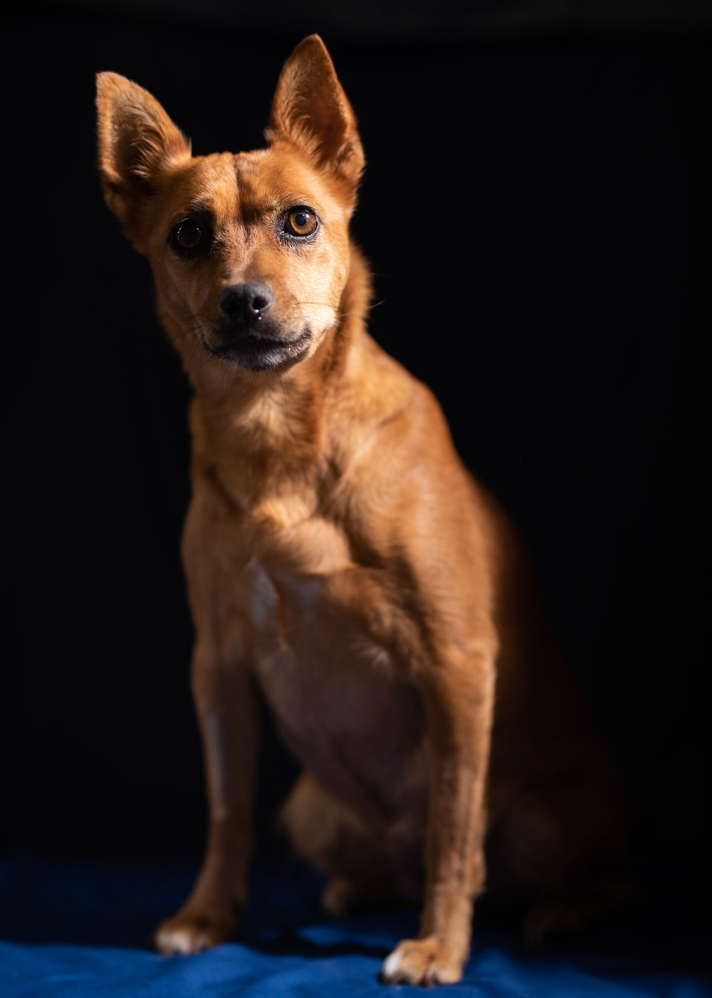 Studio portrait