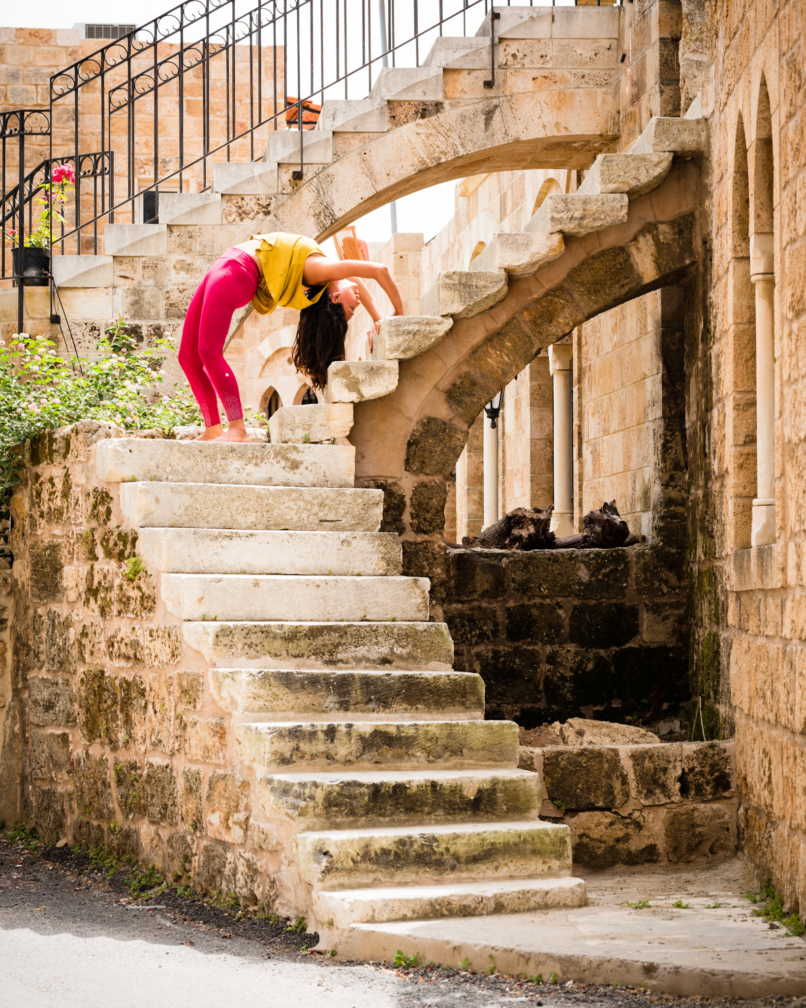 Lama in Batroun