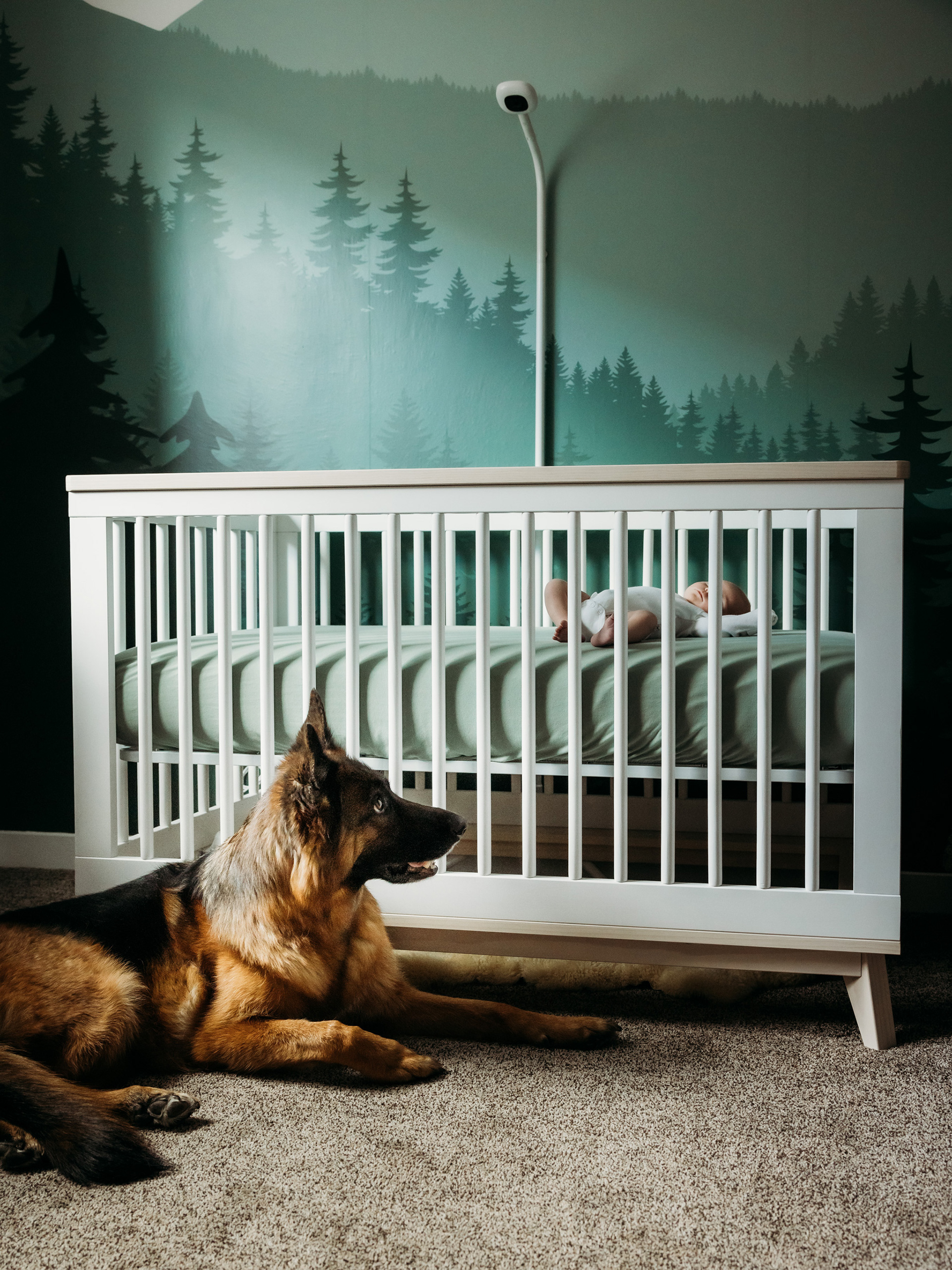 in-home newborn session