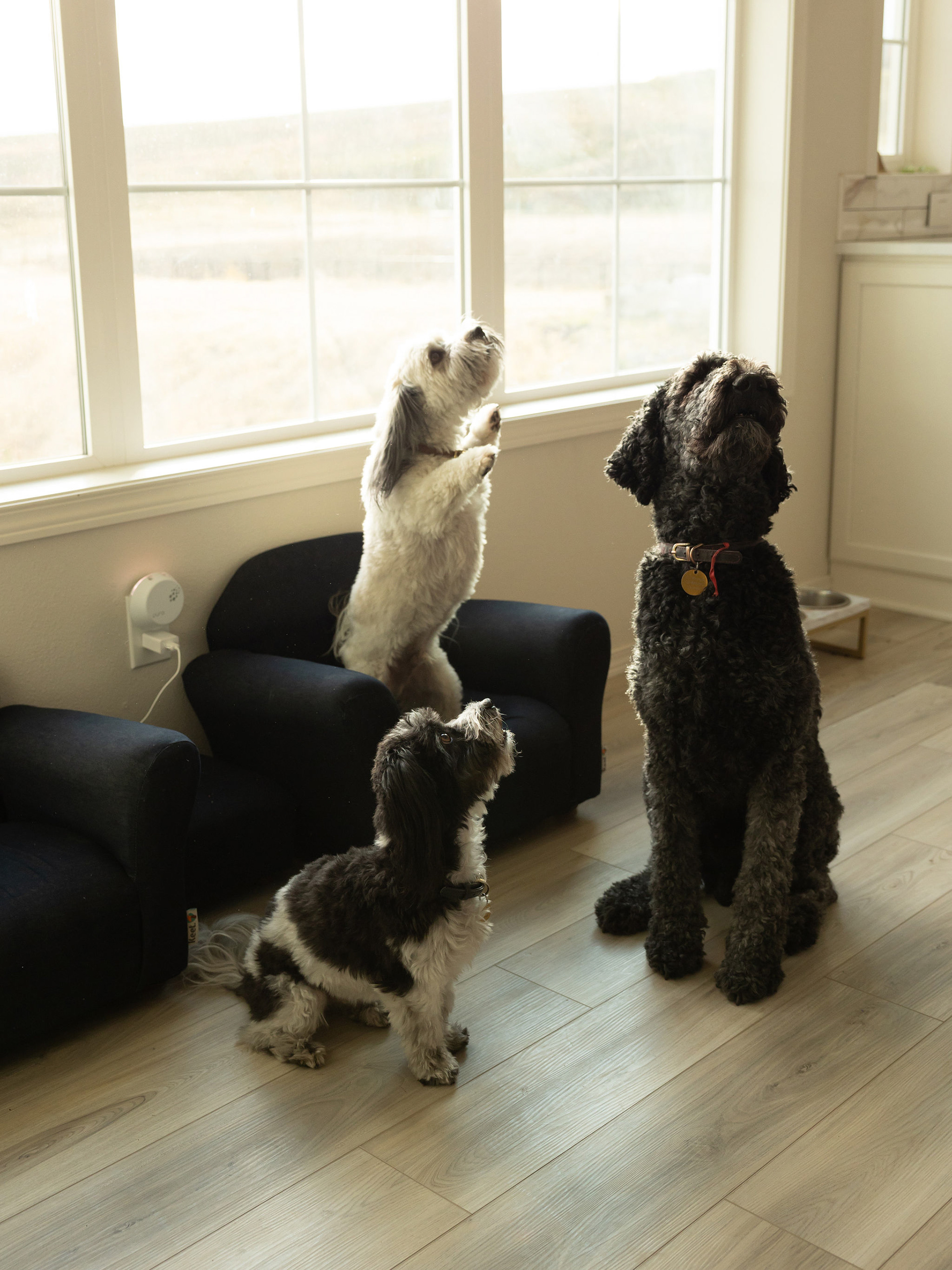 in-home family session
