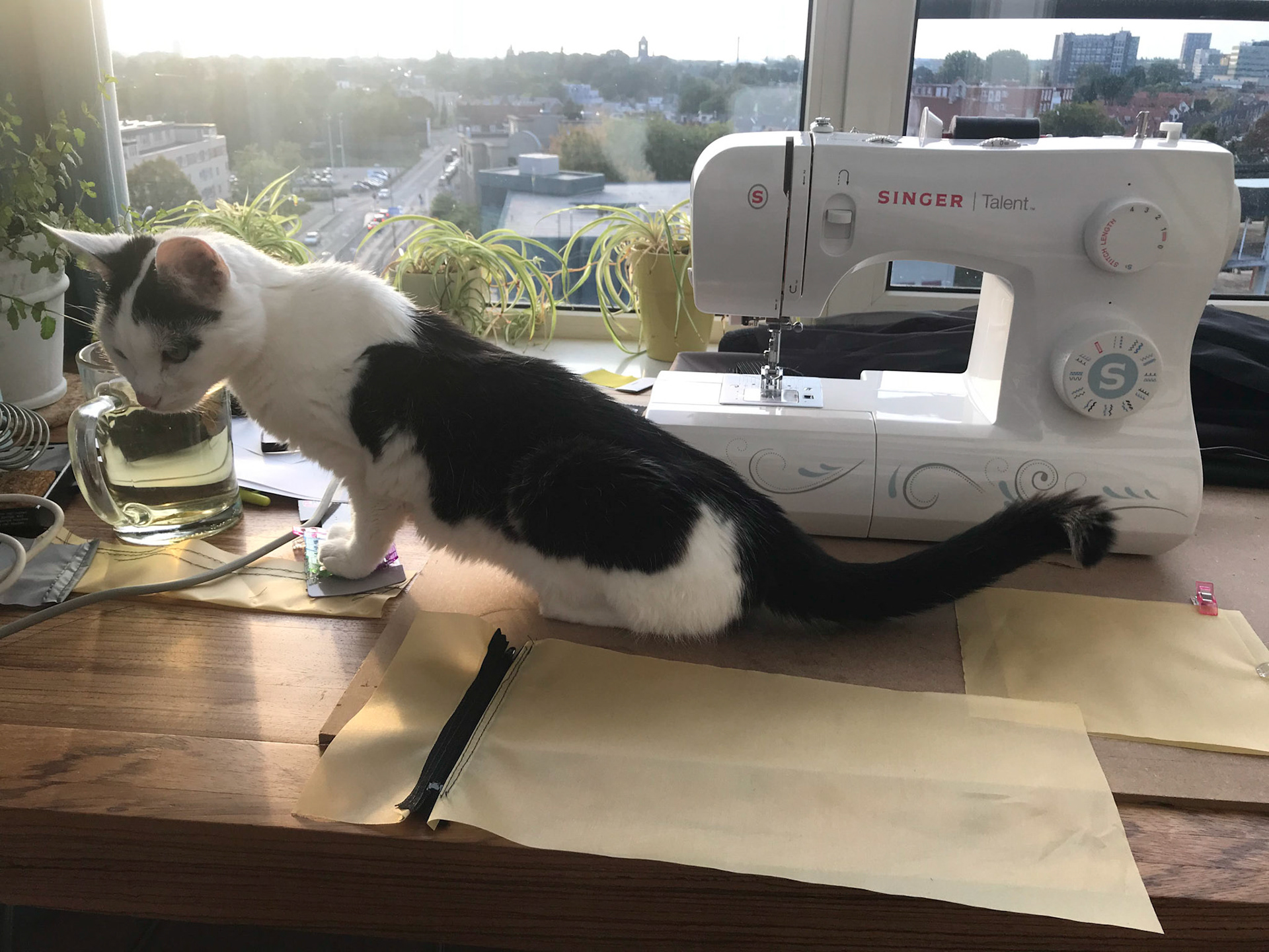 Hoe moet dat, een rits?