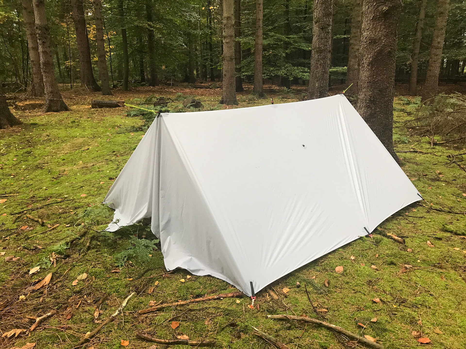 Eerste keer buiten, in het bos in de buurt. Het werkt!