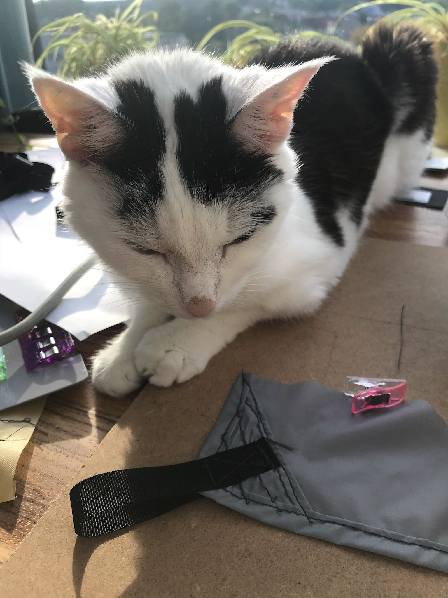 Test met hoek-bevestigingen. Kat hielp mee.