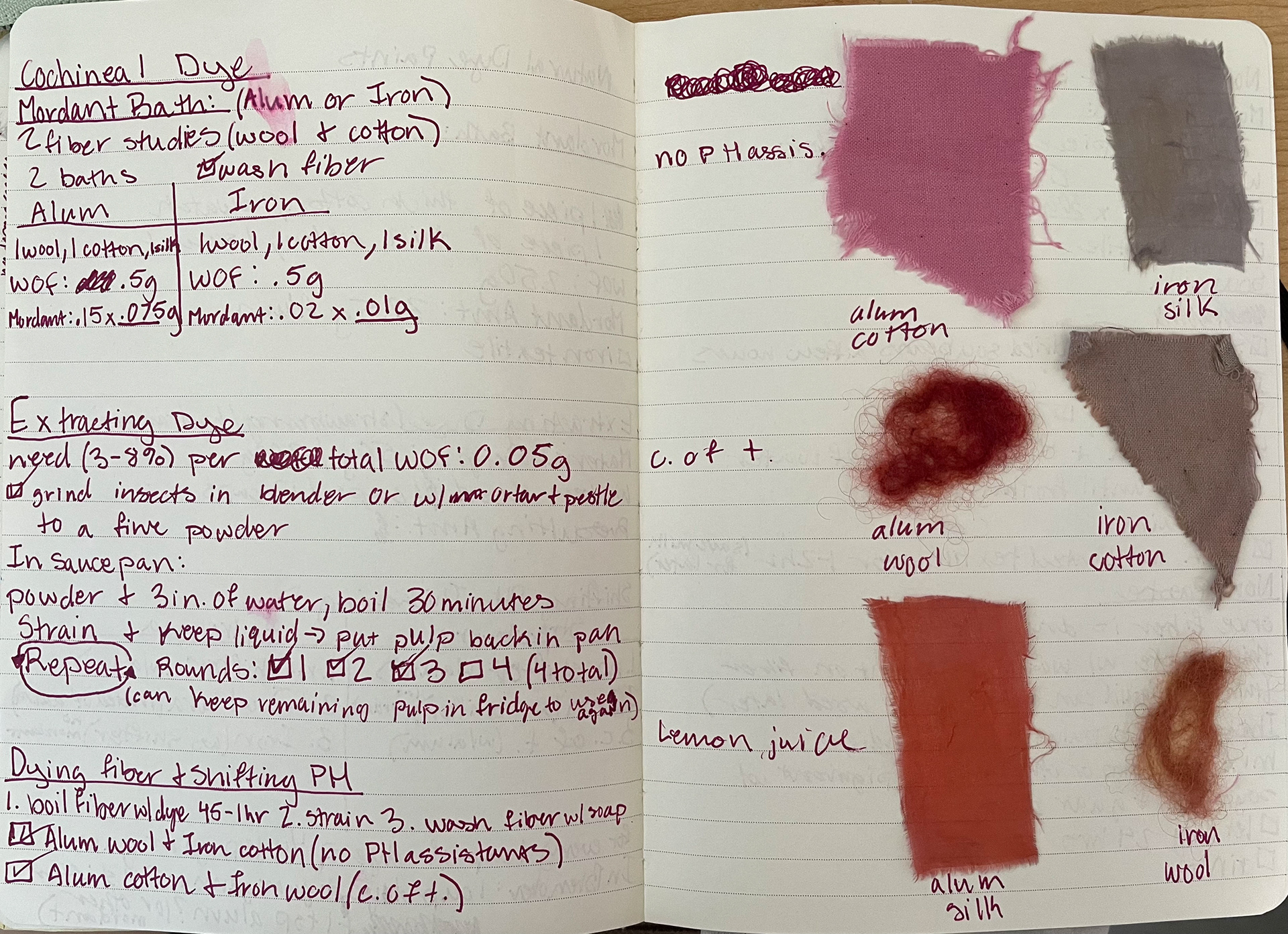Swatches and Notebook of Cochineal Dye Baths