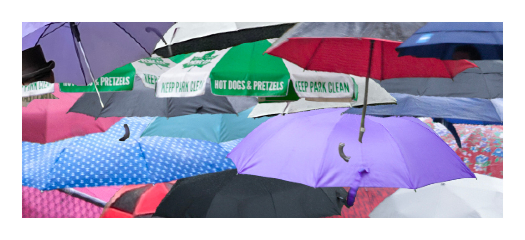 Umbrellas Front