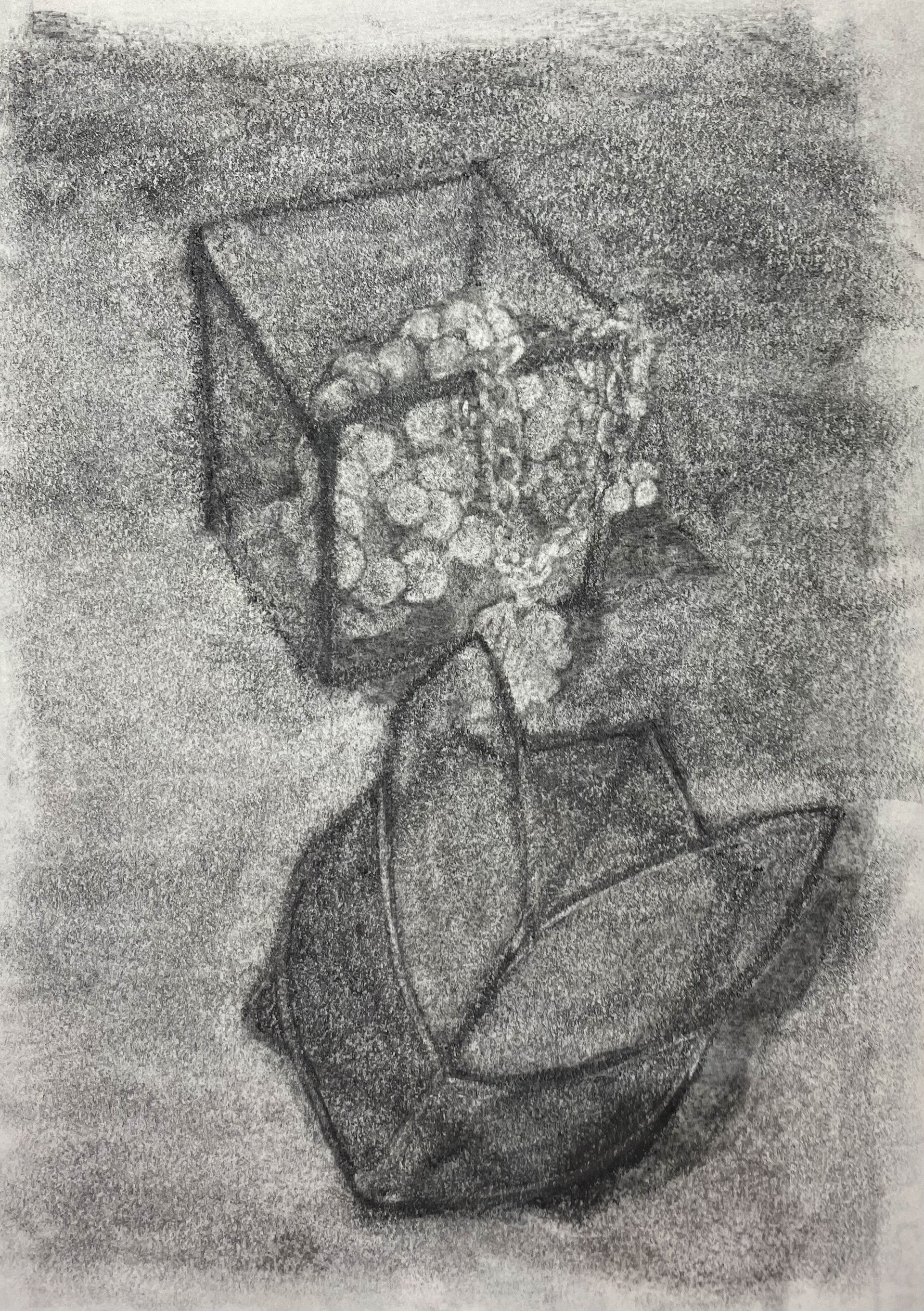charcoal sketch