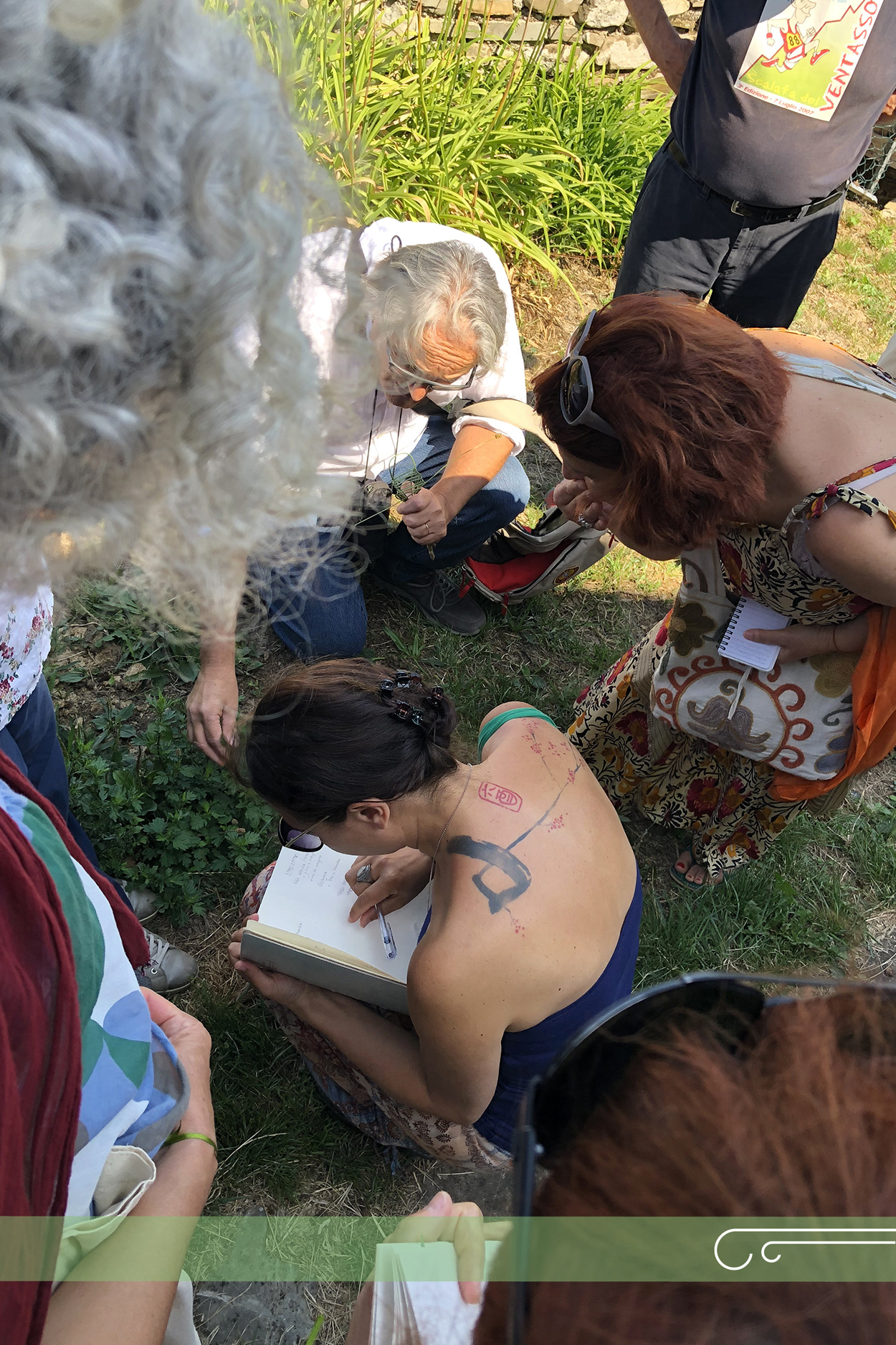 Ermanio Beretti | Disegnando le Erbe vagabonde