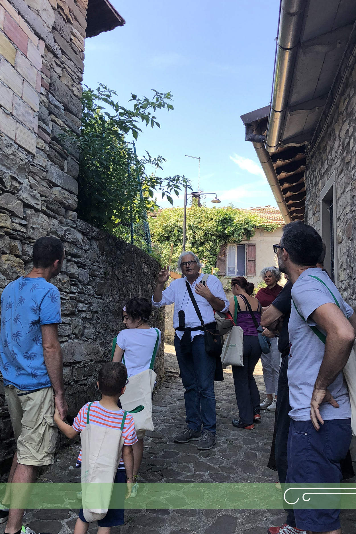 Ermanio Beretti | Disegnando le Erbe vagabonde