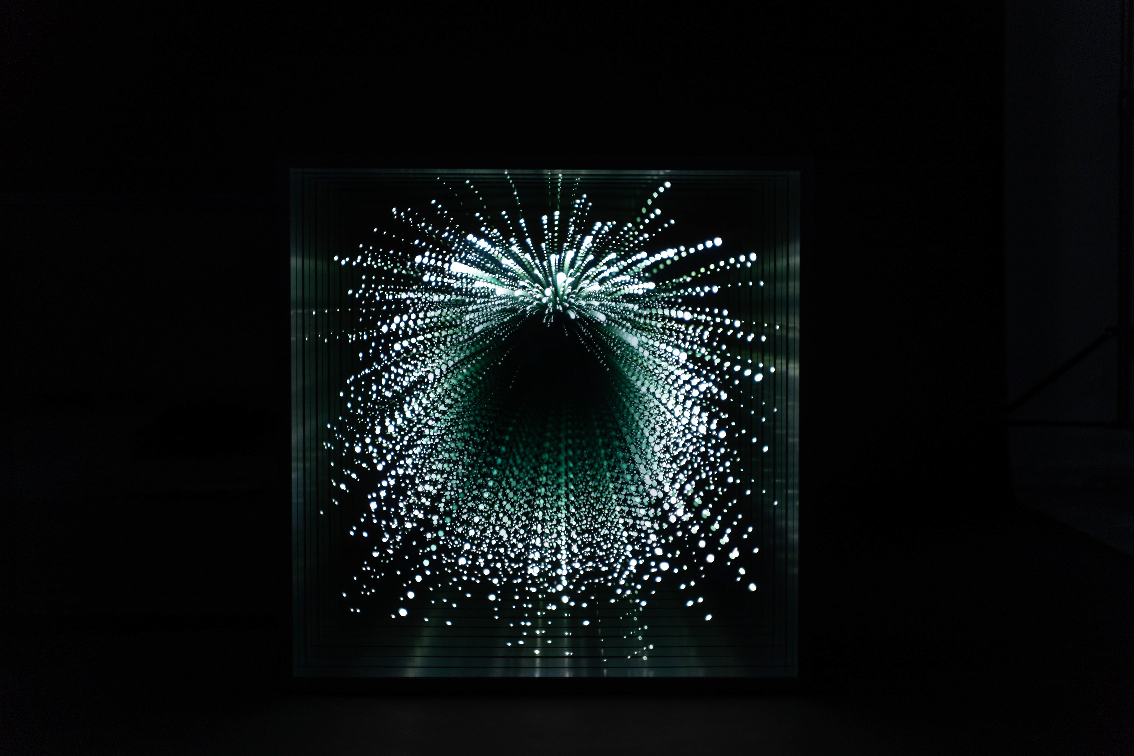 Penelope Chiara Cocchi