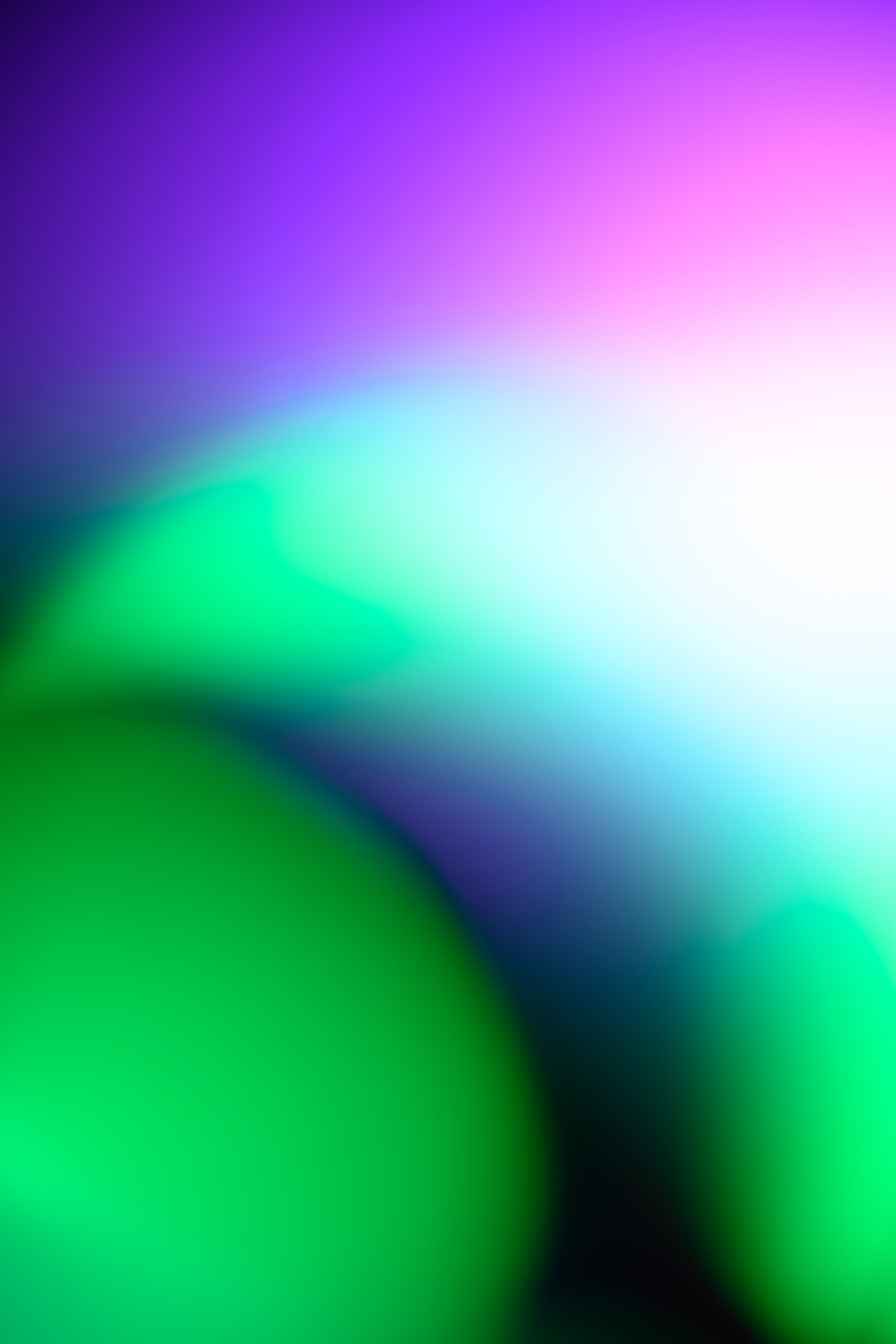FP2023*2235