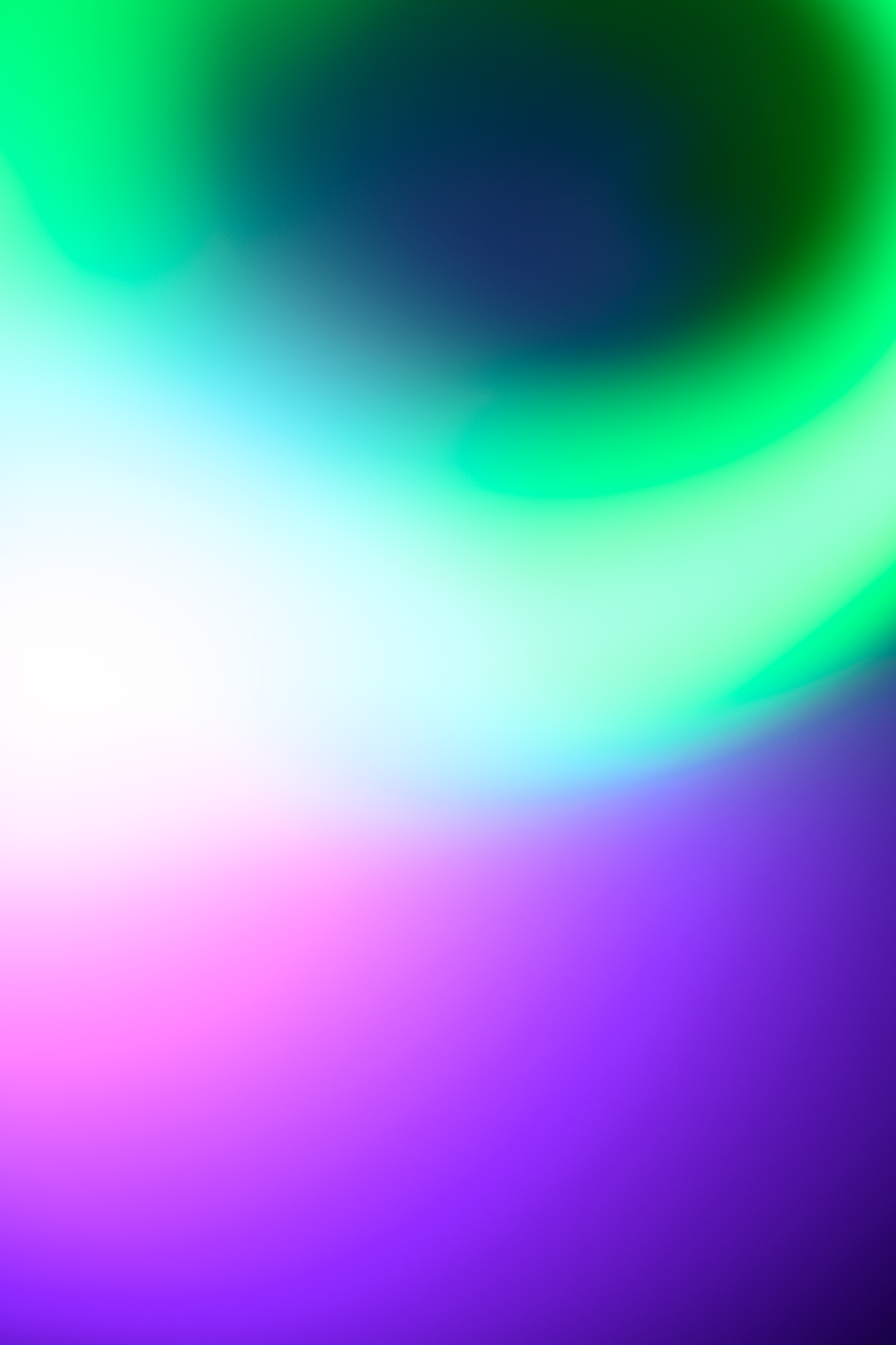 FP2023*2241