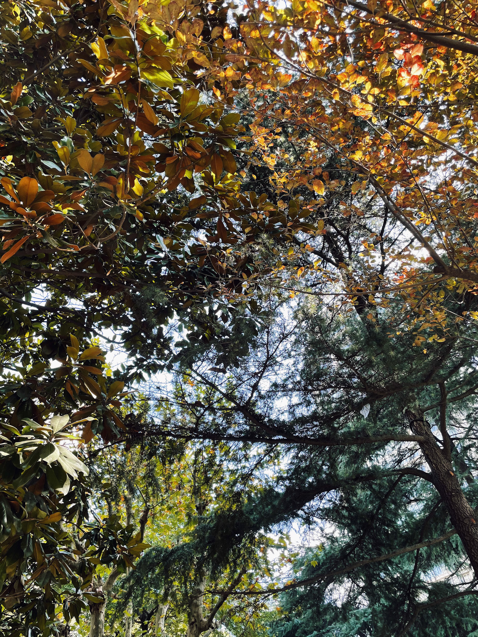 Processed with VSCO with kc25 preset