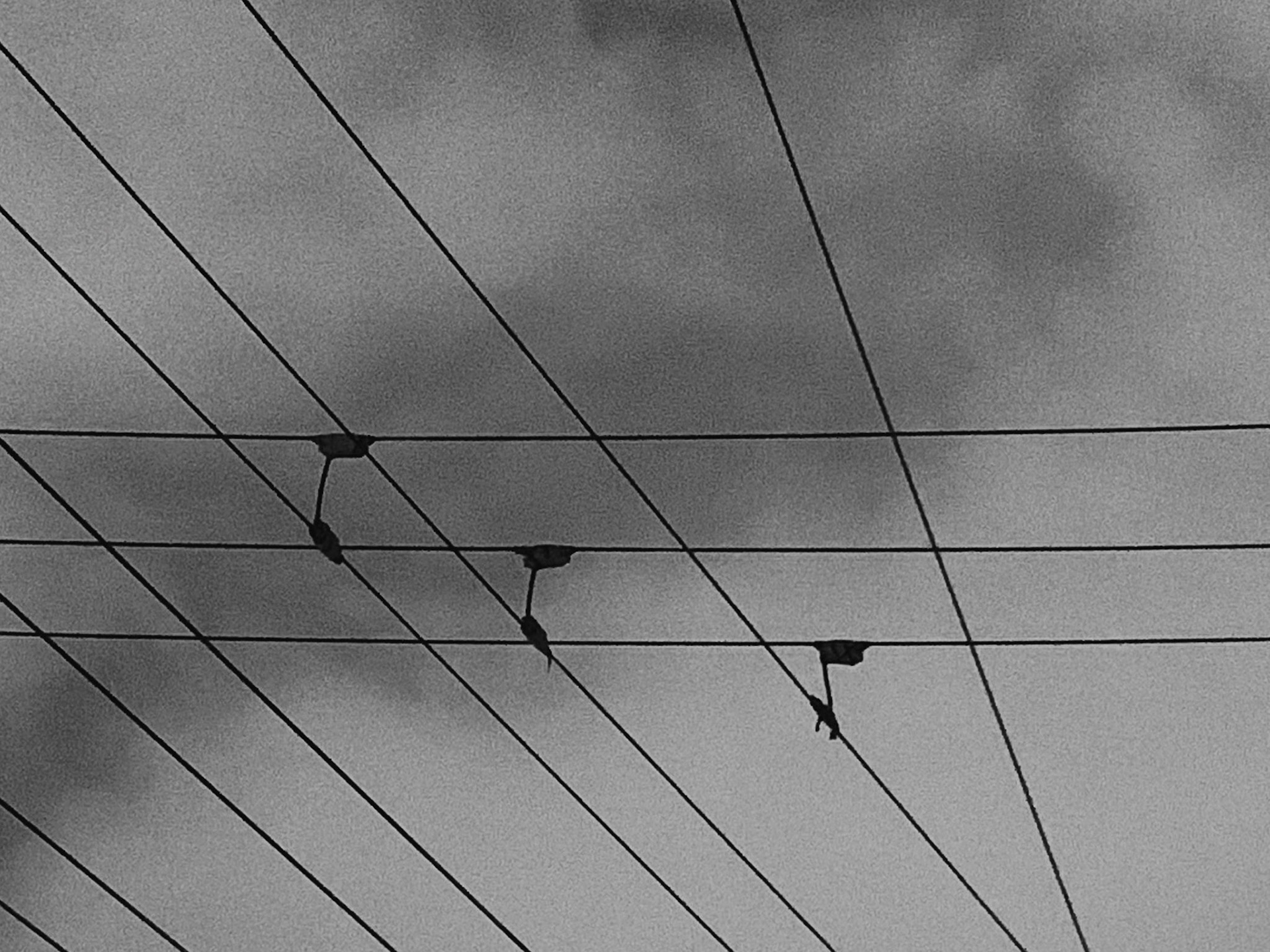 Processed with VSCO with b1 preset