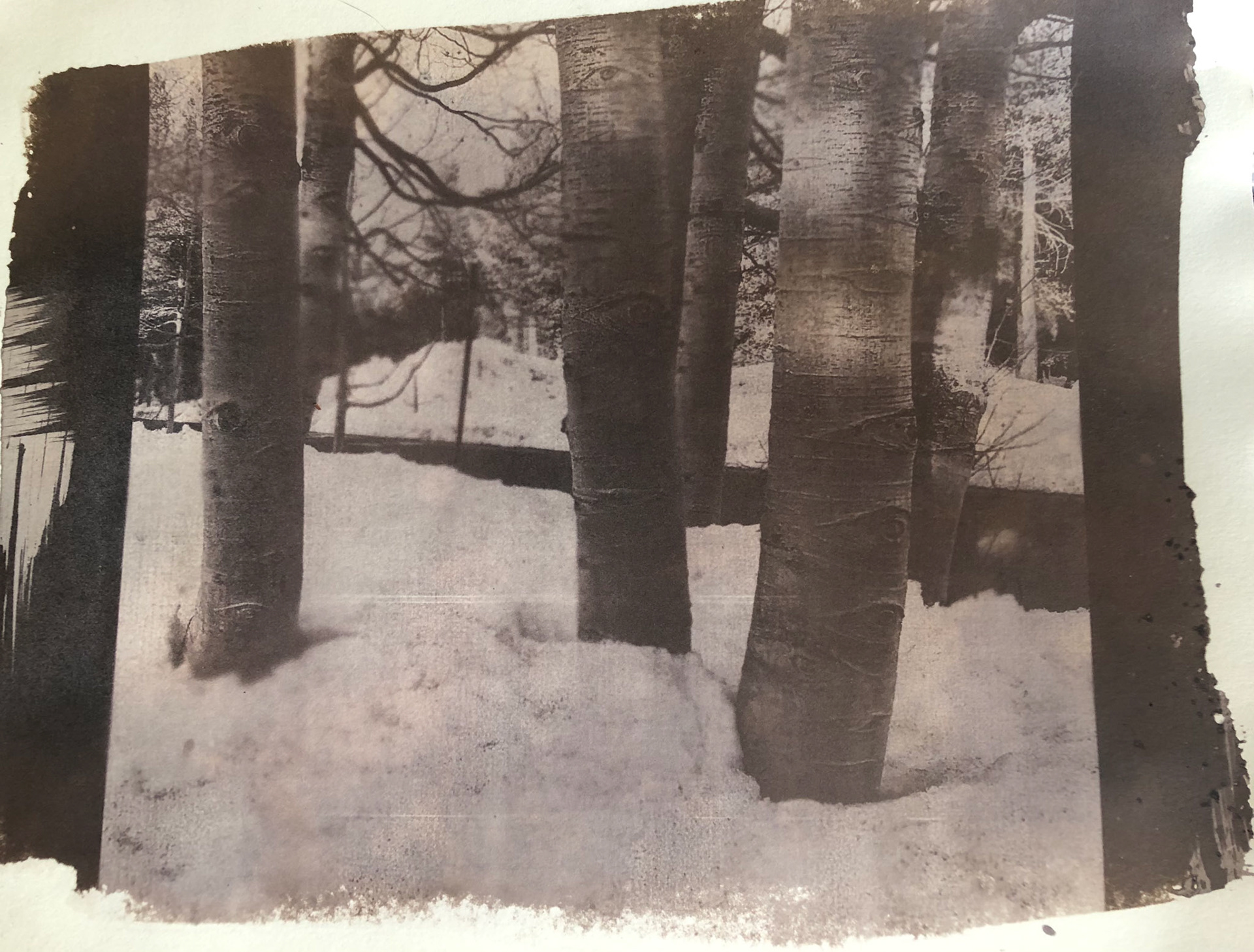 Salt Print