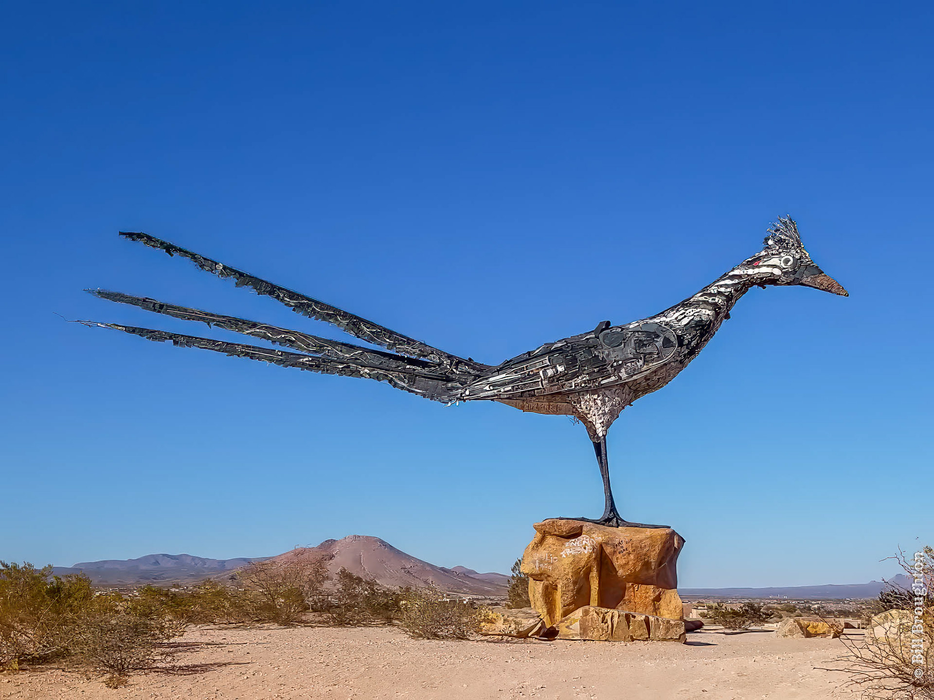 Giant Roadrunner Sculpture, Las Cruces, New Mexico