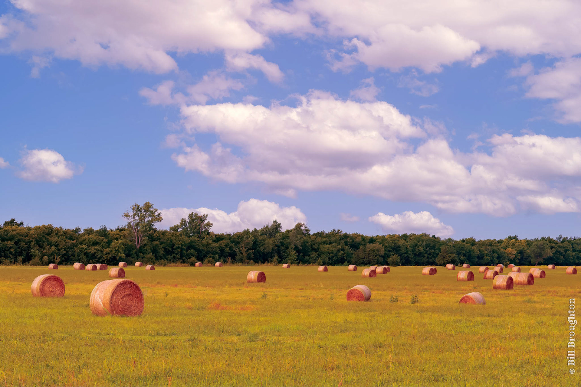 Hay Field, Texas