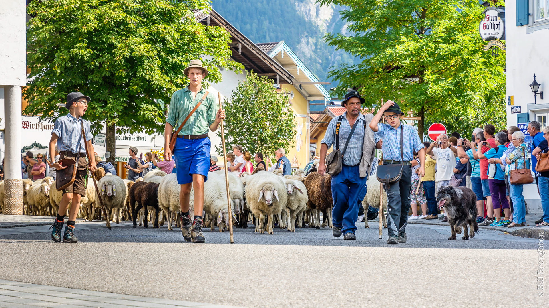 The Running Of The Sheep, Mittenwald, Germany