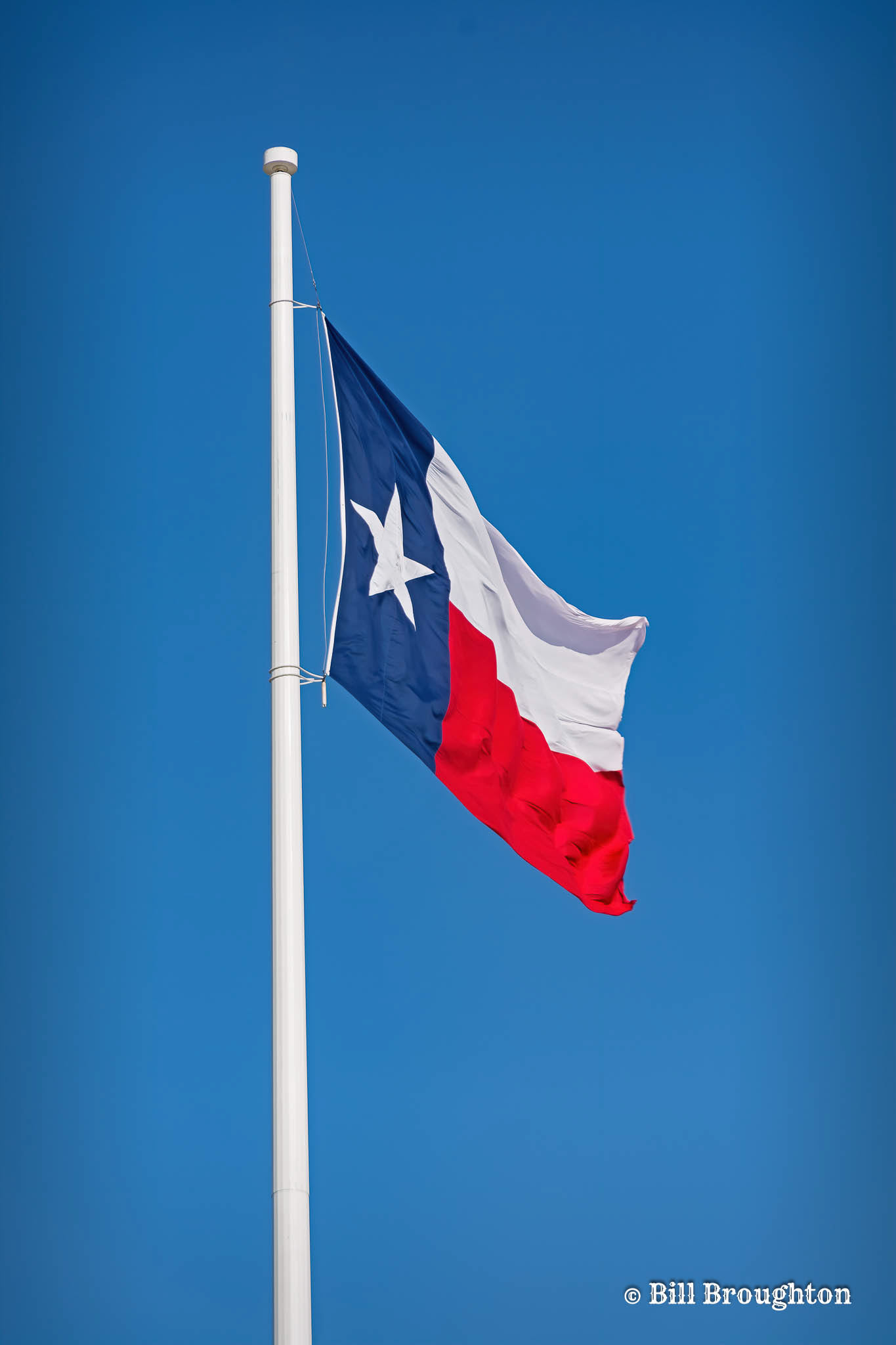The Lone Star Flag