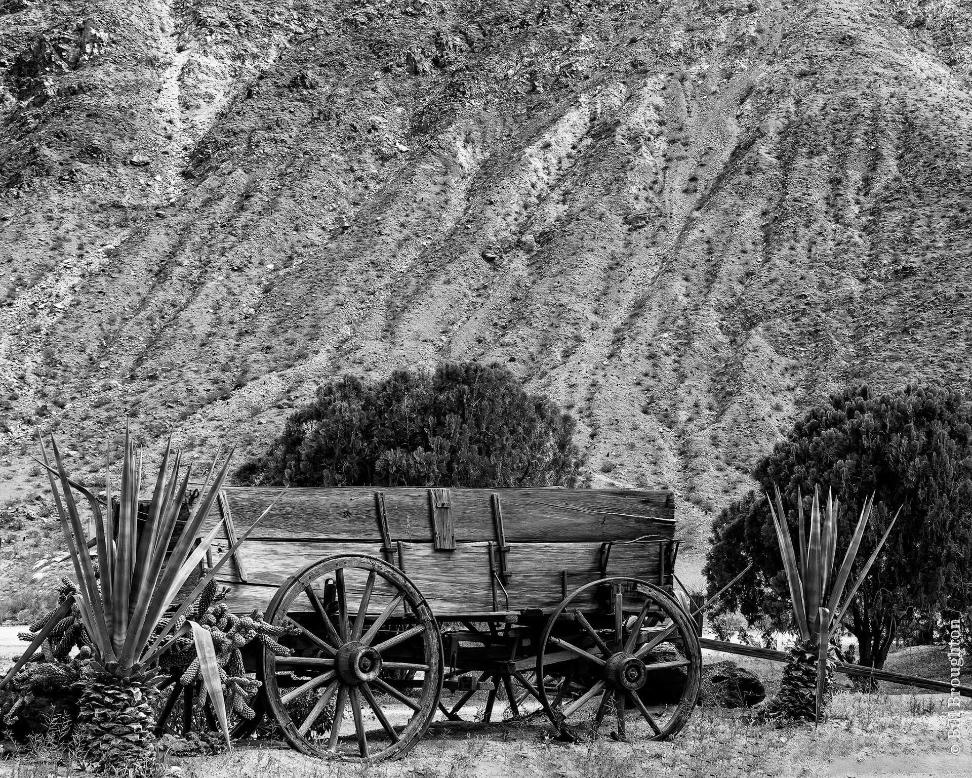 Smoke Tree Stables, California