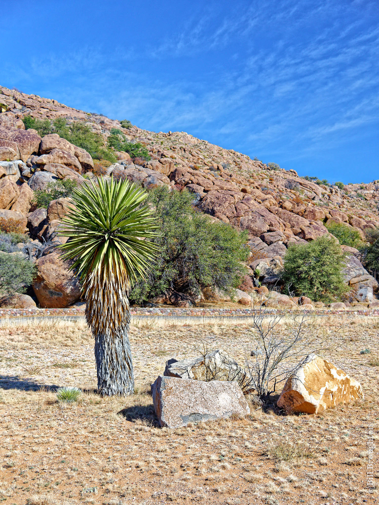 Davis Mountains