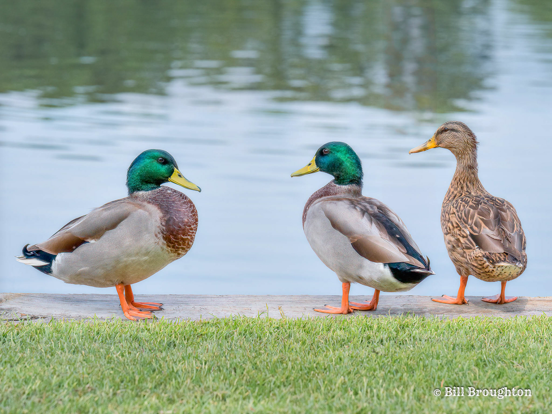 You first. No, you first.