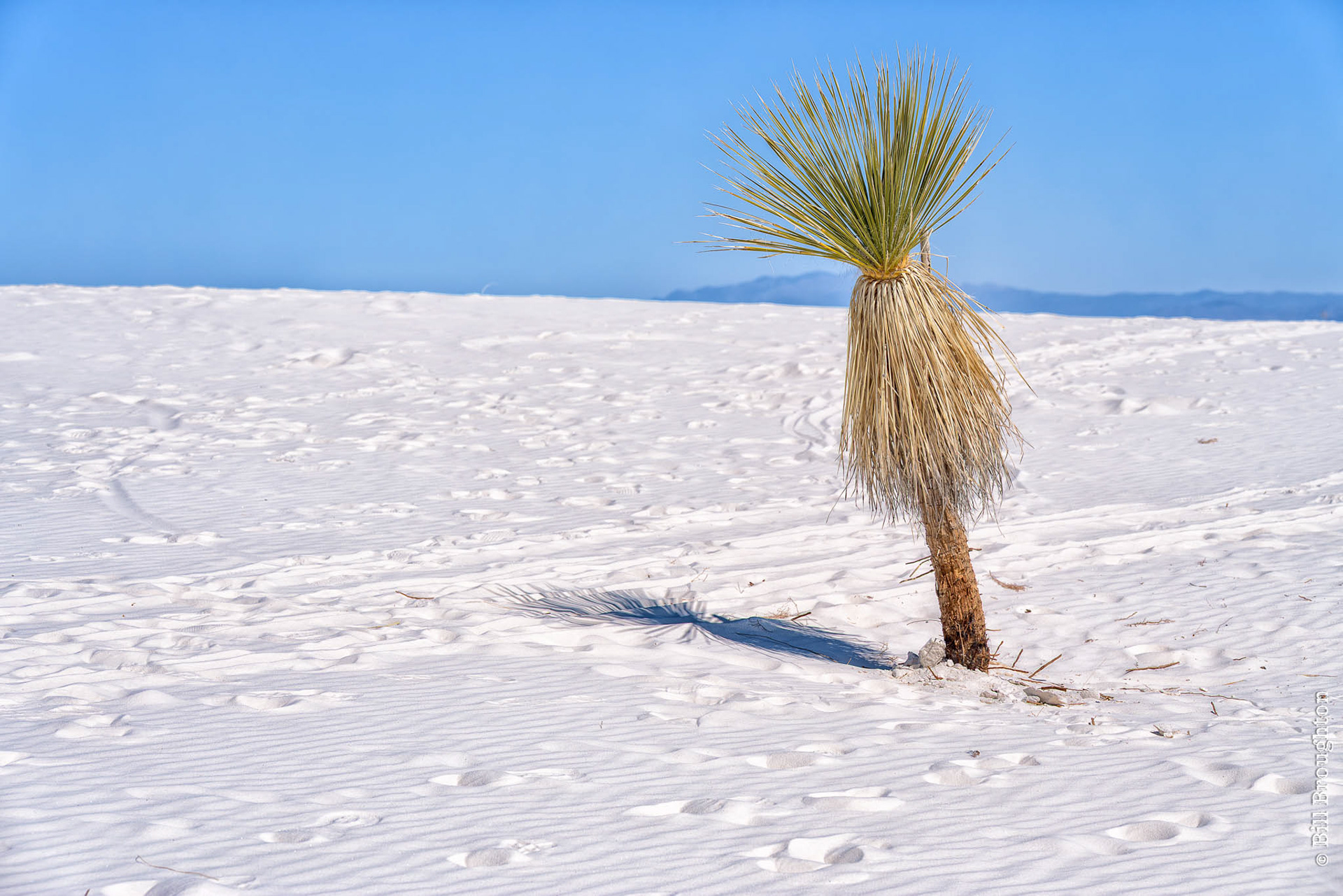 White Sands National Park, New Mexico
