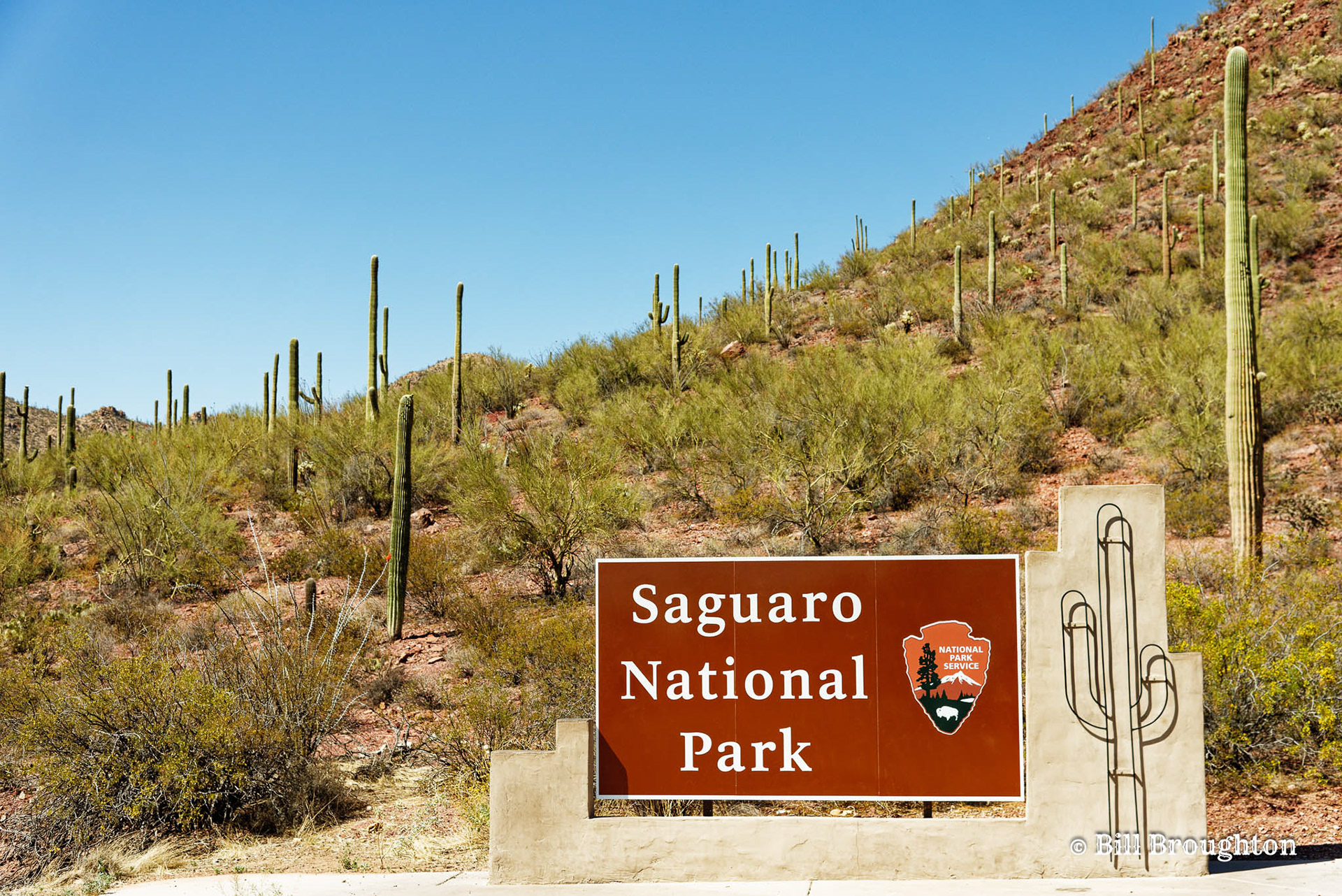 Saguaro National Park, Arizona