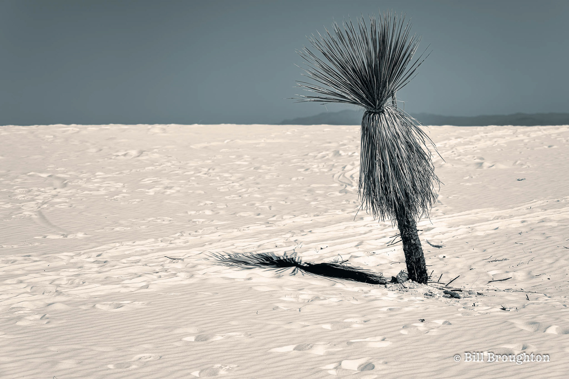 White Sands National Park, NM