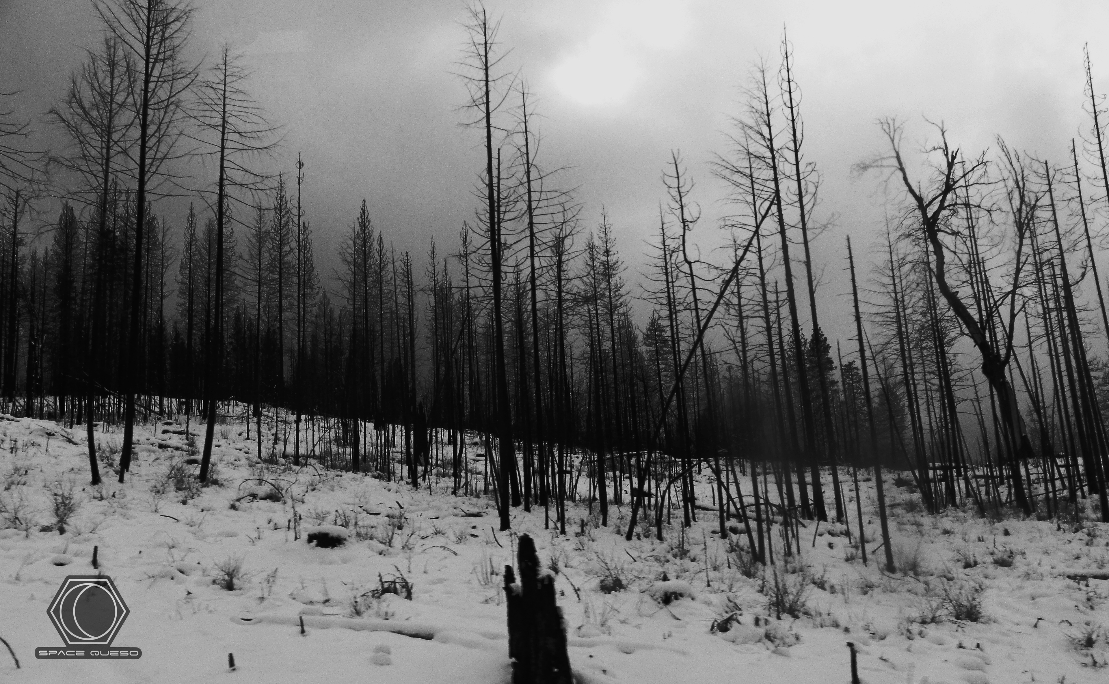Yosemite Burns (2014)