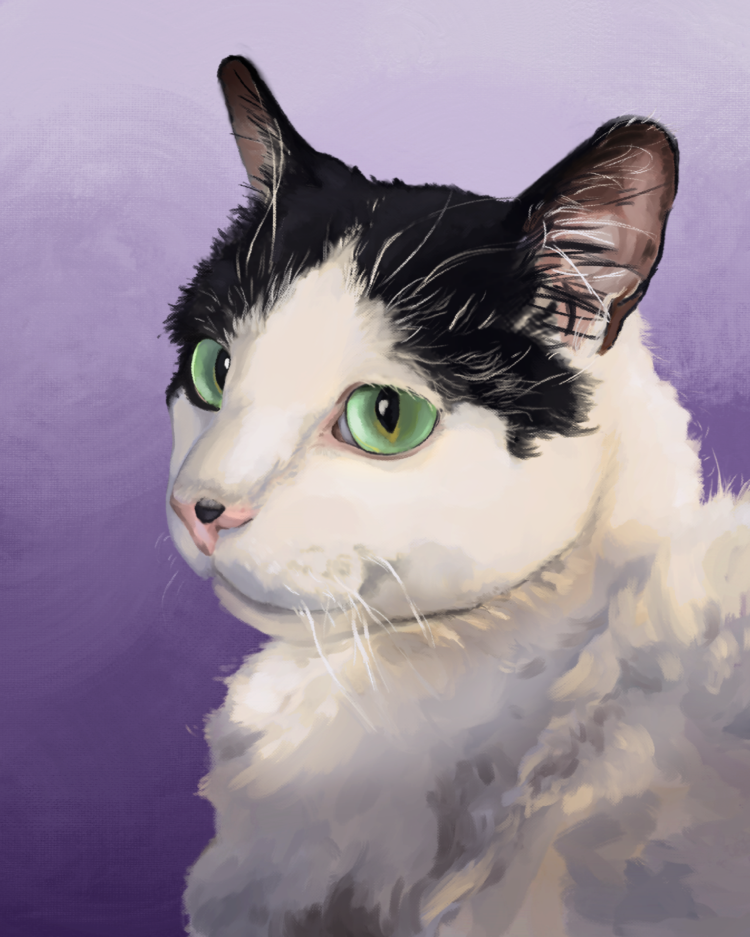 Momo - Private Commission - 2022