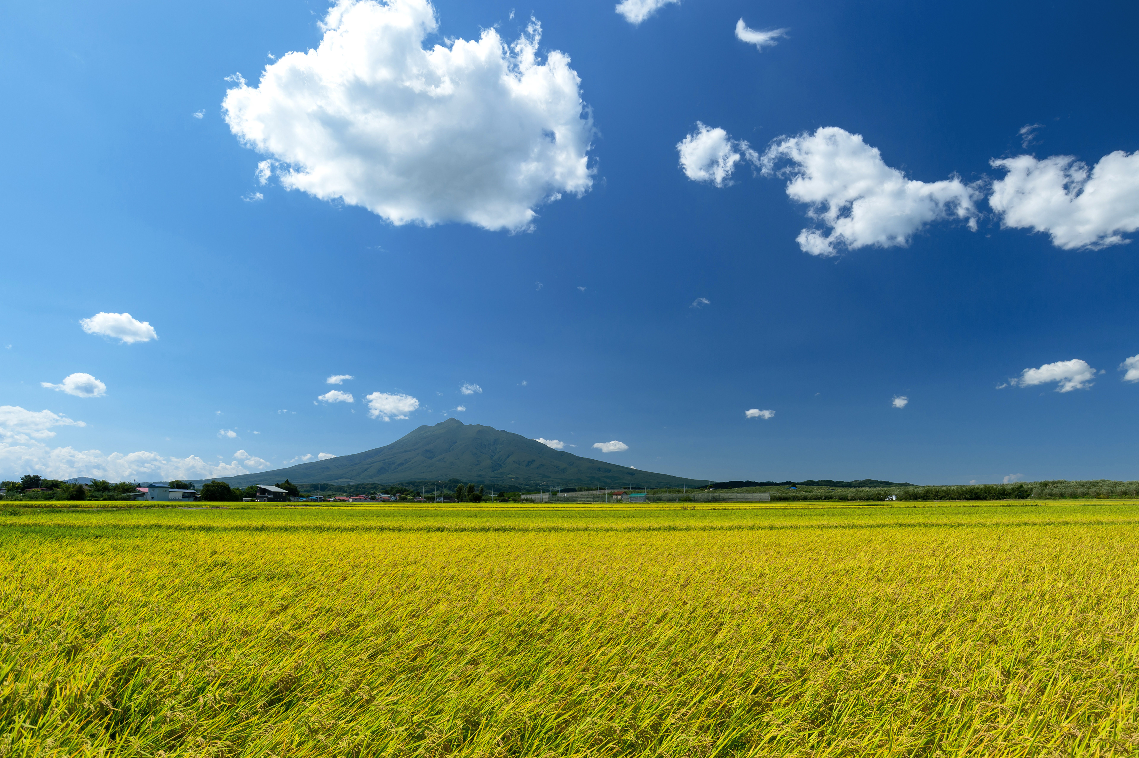 「おいしい」を育てる最高の土壌