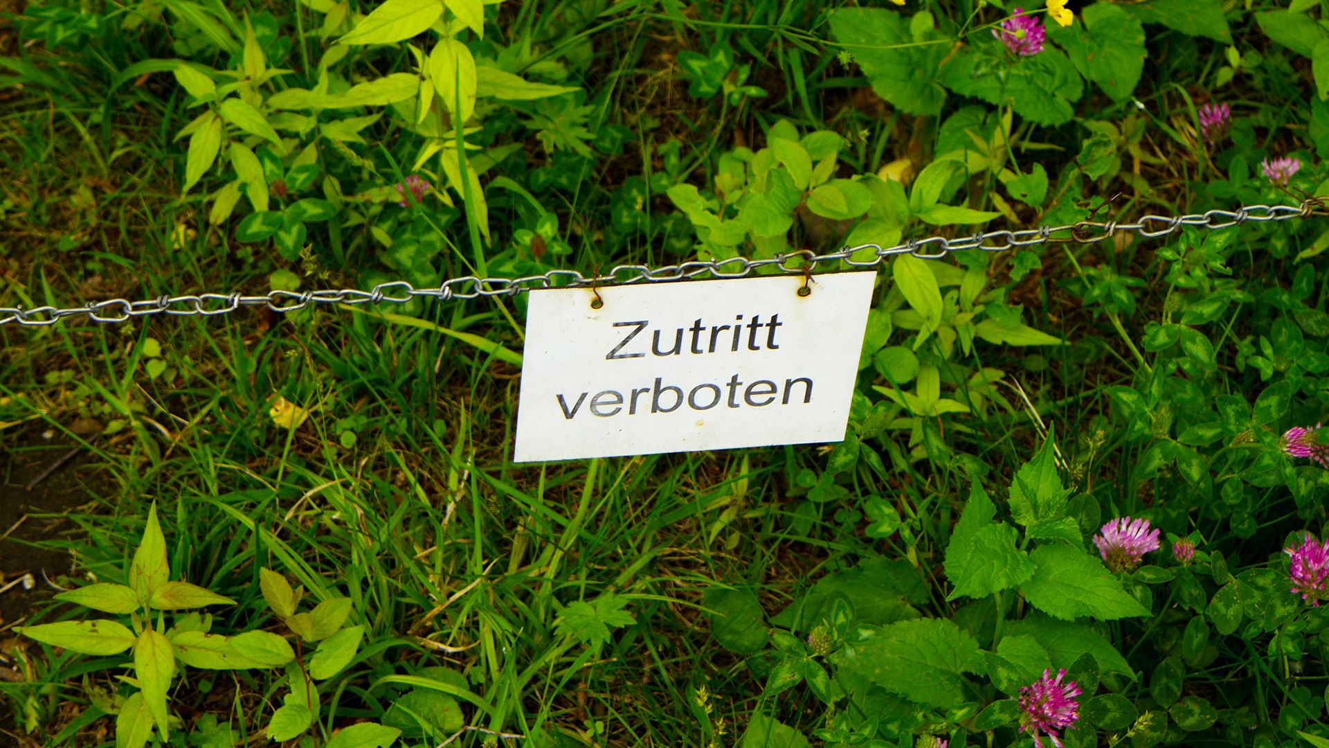 Belvedere. Grădina botanică. Viena