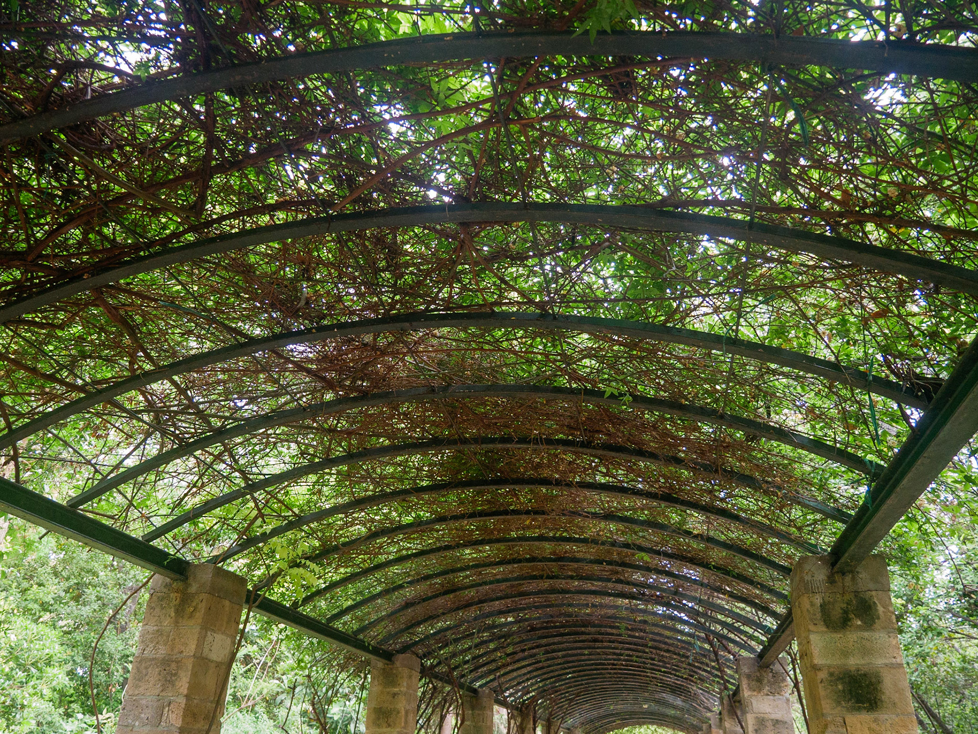 Grădina Națională. Atena