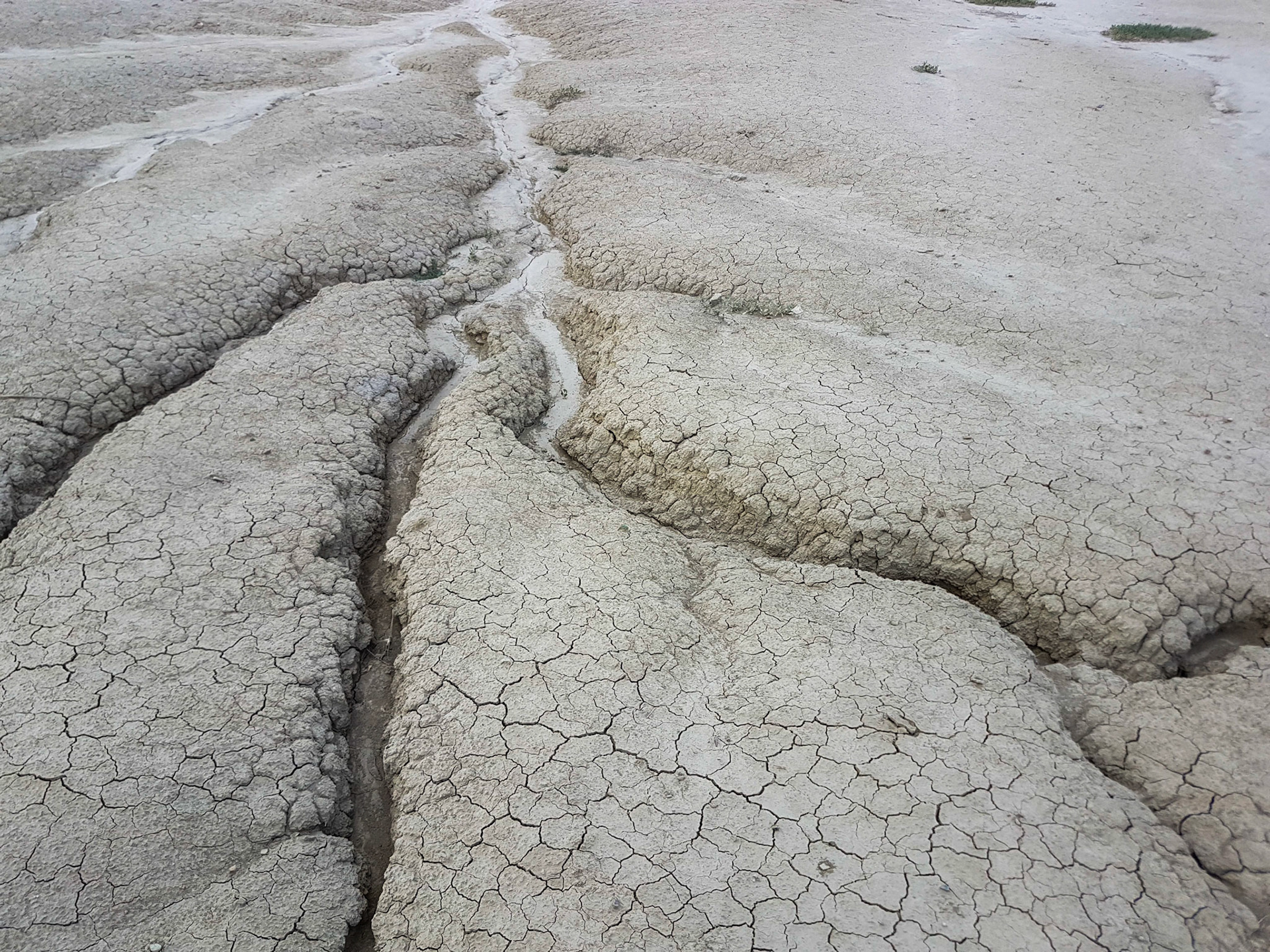 Vulcanii Noroiosi. Scortoasa