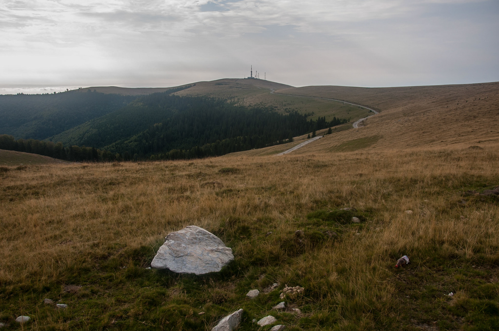 Transalpina