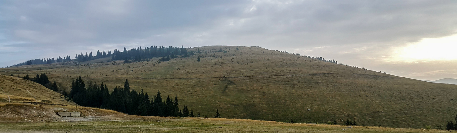 Transalpina